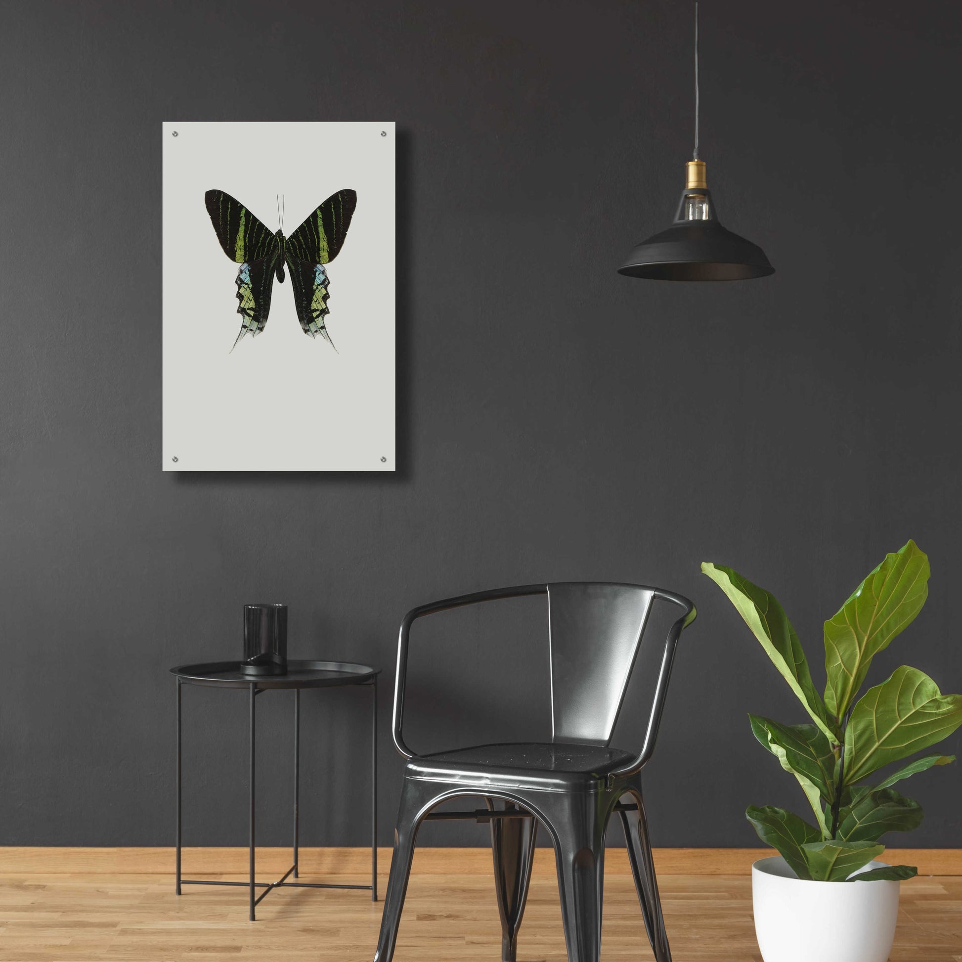 Epic Art 'Green Butterfly' by Incado, Acrylic Glass Wall Art,24x36