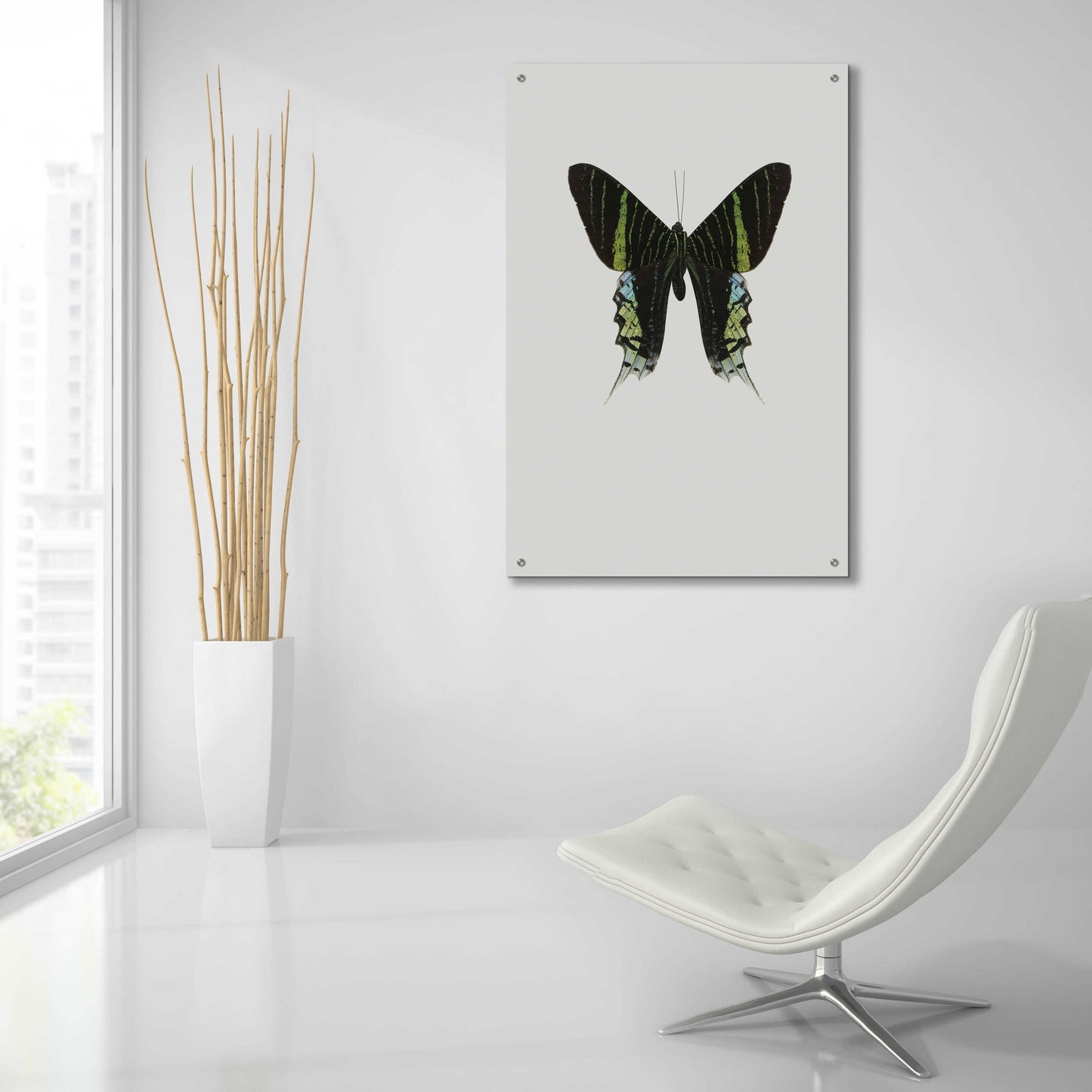 Epic Art 'Green Butterfly' by Incado, Acrylic Glass Wall Art,24x36