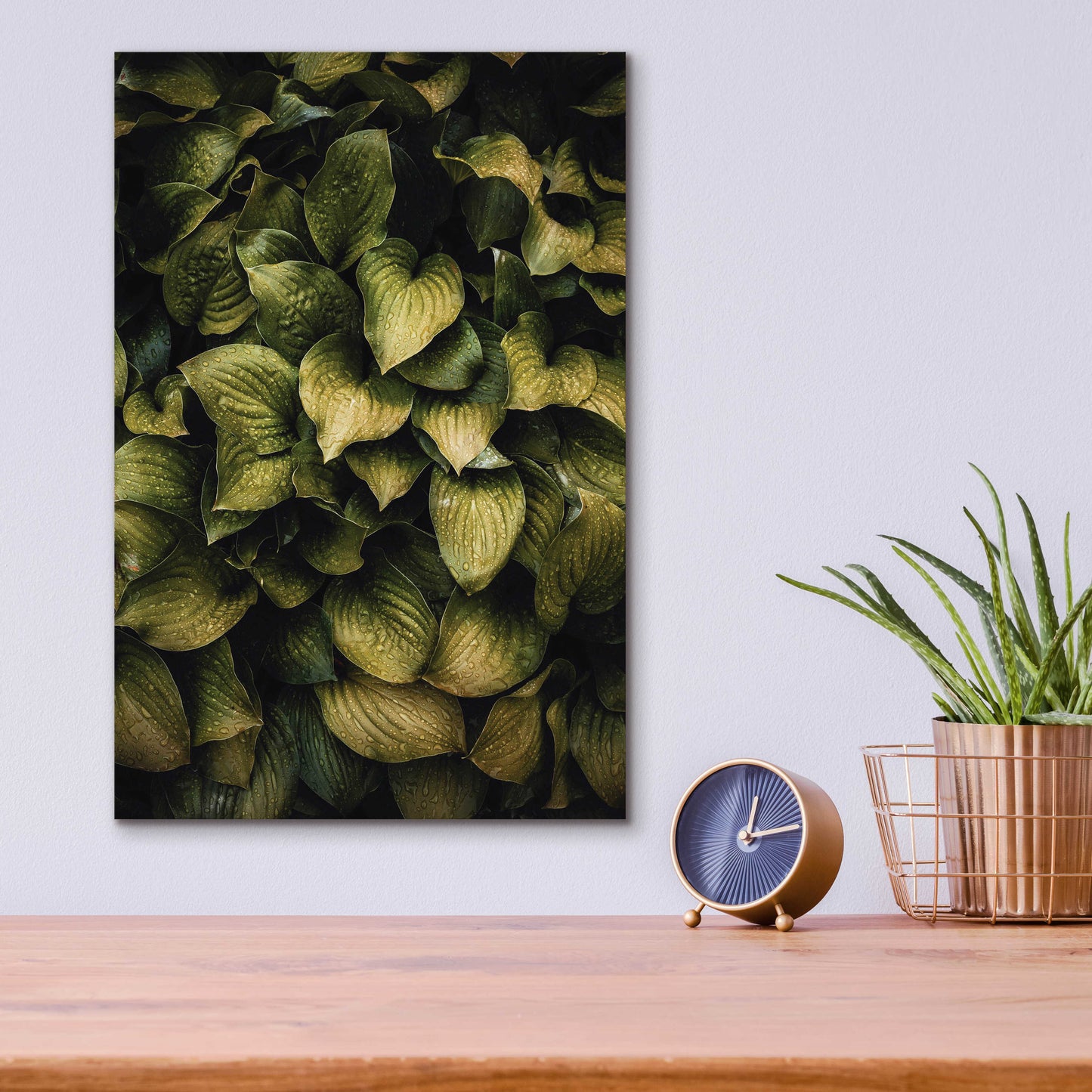 Epic Art 'Hostas Leaves' by Incado, Acrylic Glass Wall Art,12x16