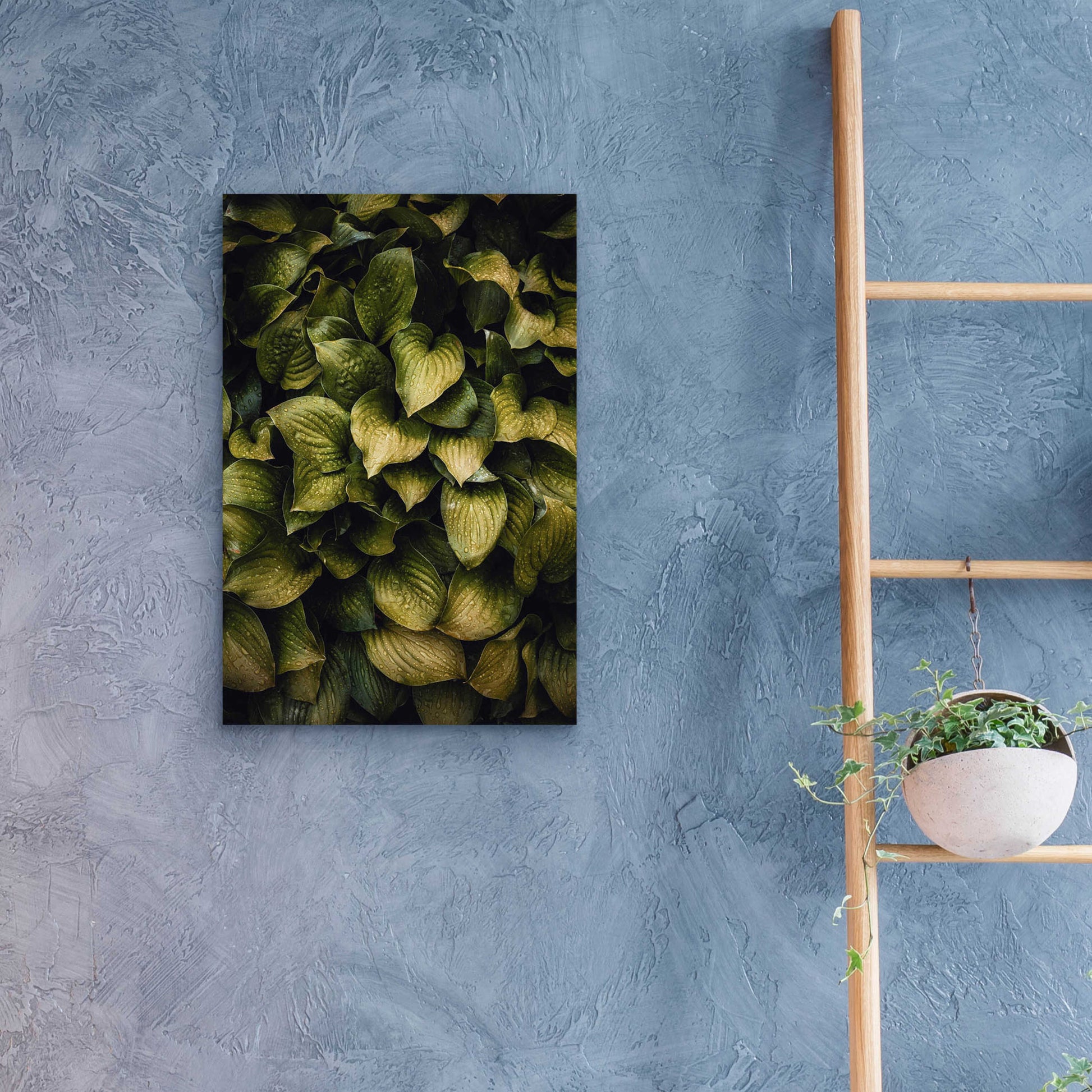 Epic Art 'Hostas Leaves' by Incado, Acrylic Glass Wall Art,16x24