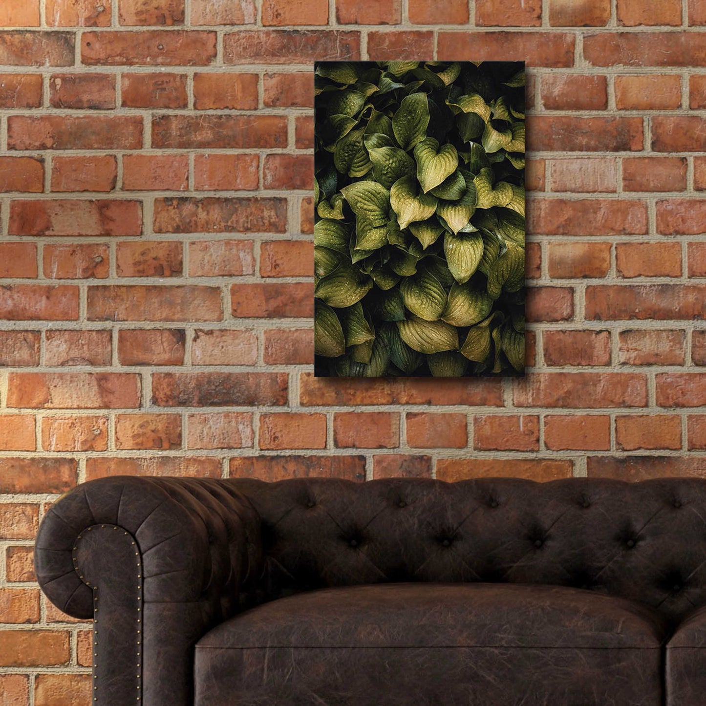 Epic Art 'Hostas Leaves' by Incado, Acrylic Glass Wall Art,16x24