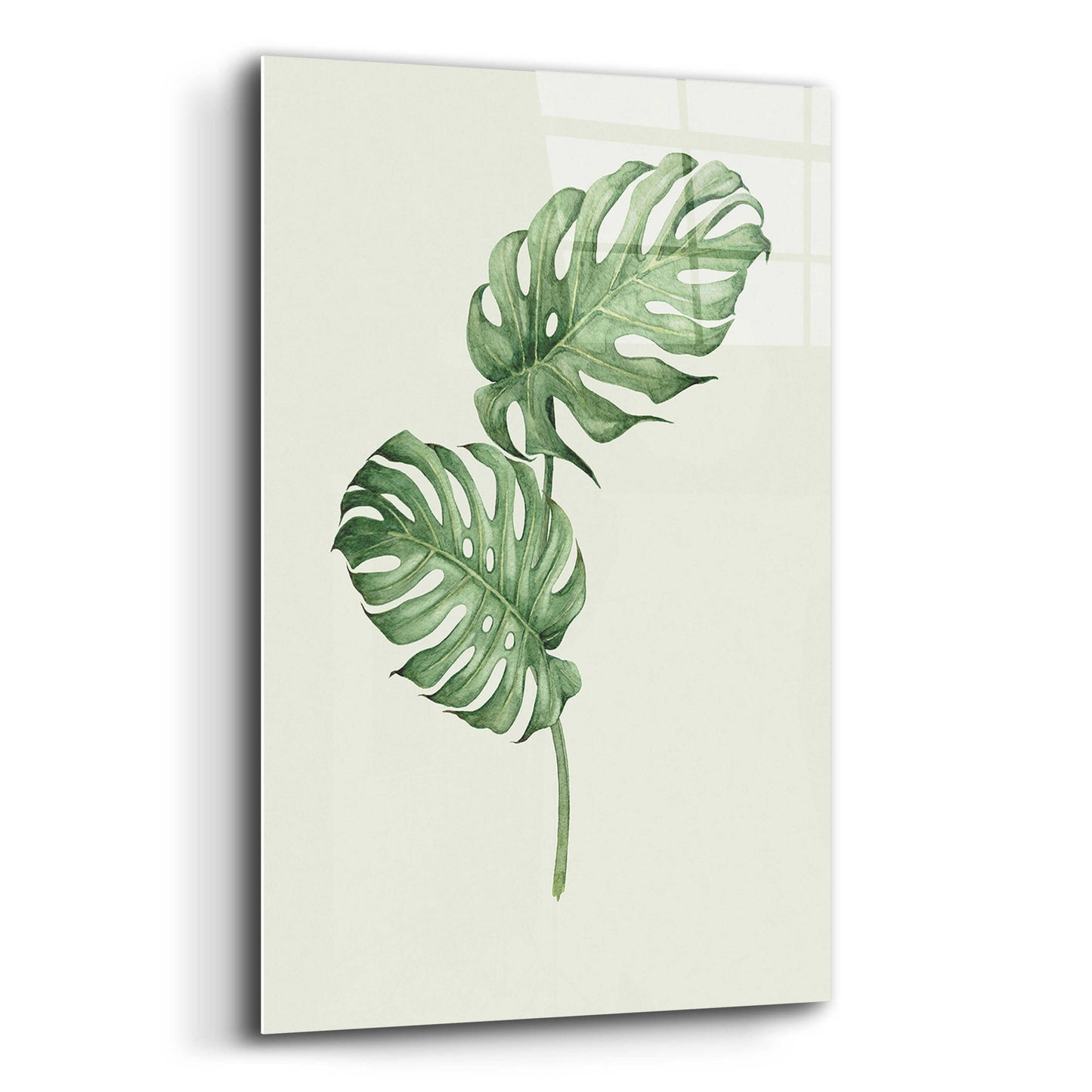 Epic Art 'Leaf Green' by Incado, Acrylic Glass Wall Art,16x24