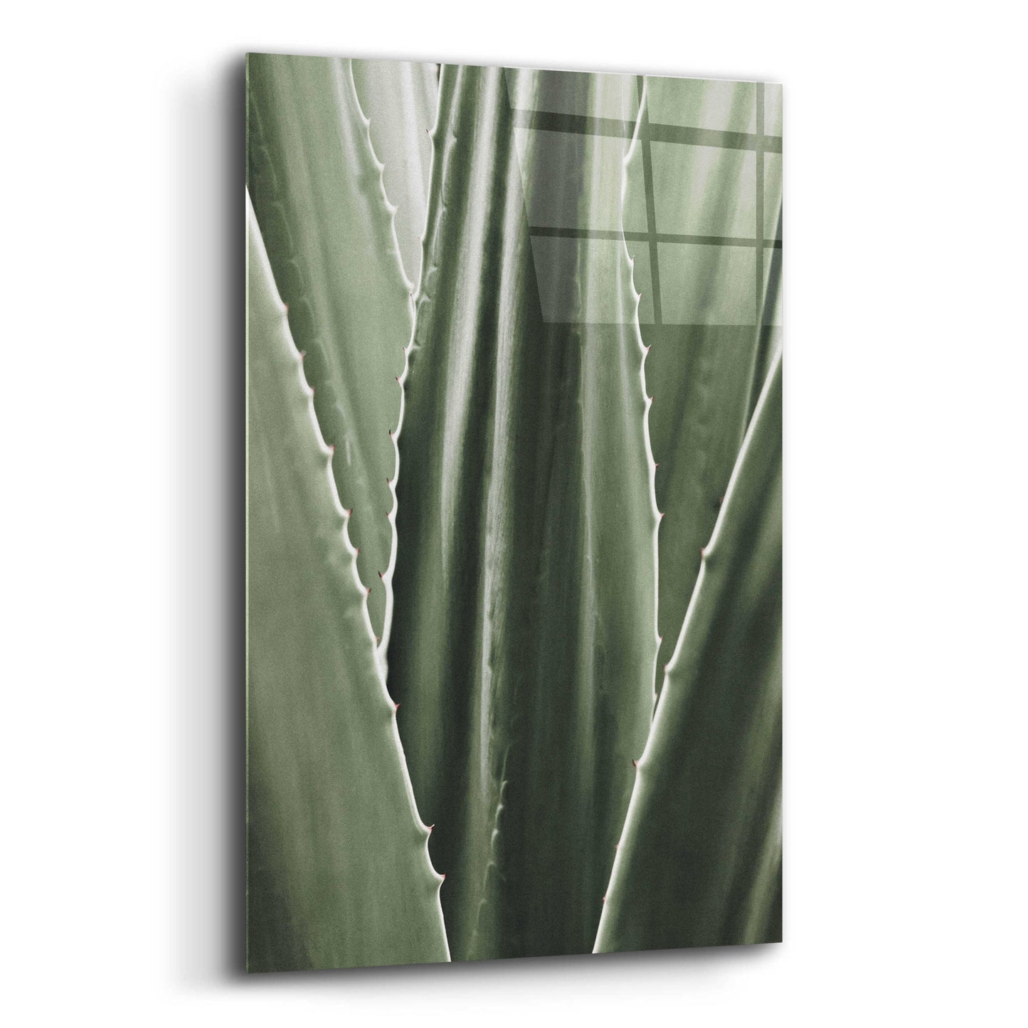 Epic Art 'Leaf I' by Incado, Acrylic Glass Wall Art,12x16