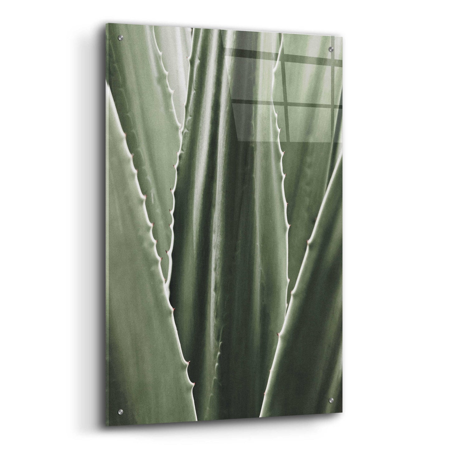 Epic Art 'Leaf I' by Incado, Acrylic Glass Wall Art,24x36