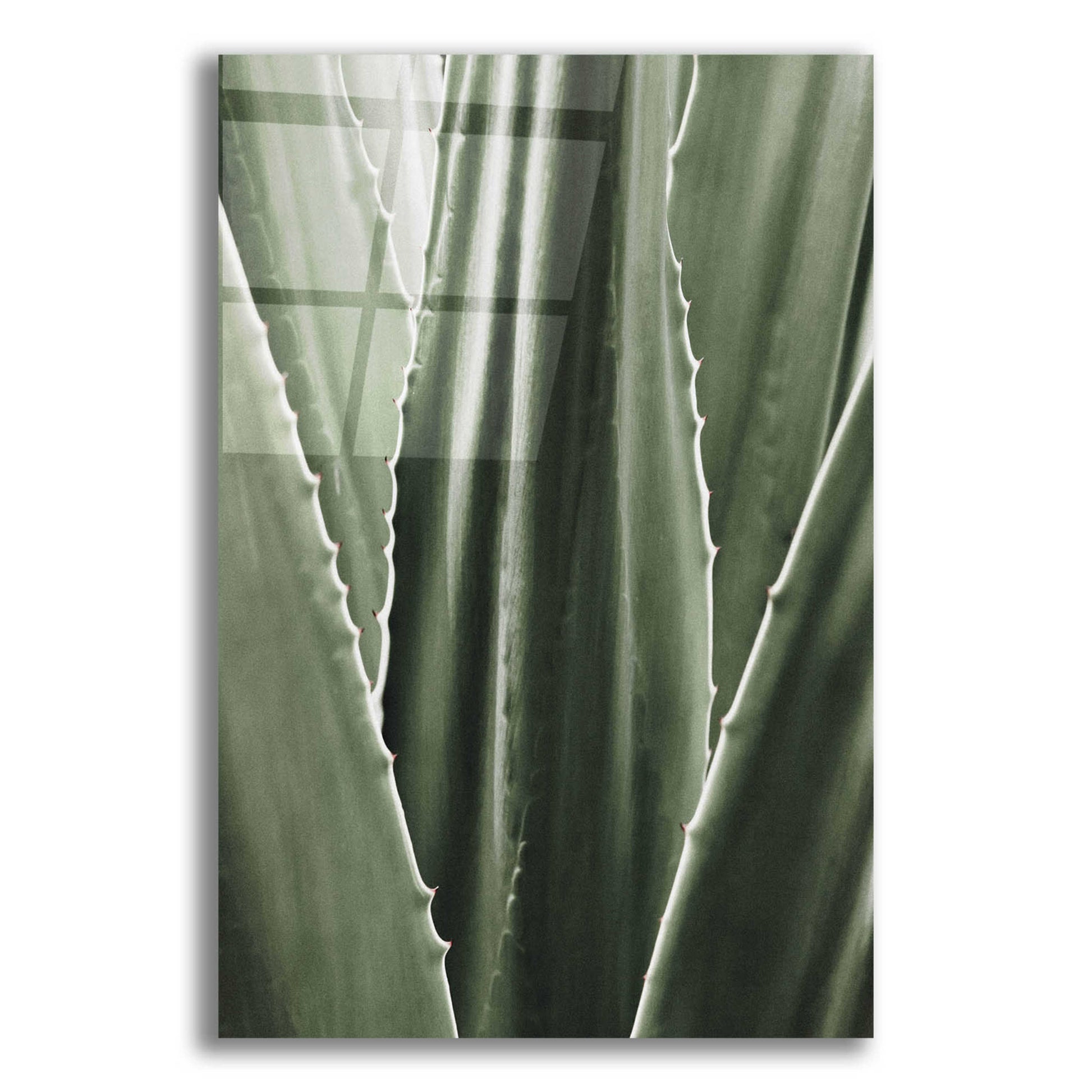 Epic Art 'Leaf I' by Incado, Acrylic Glass Wall Art