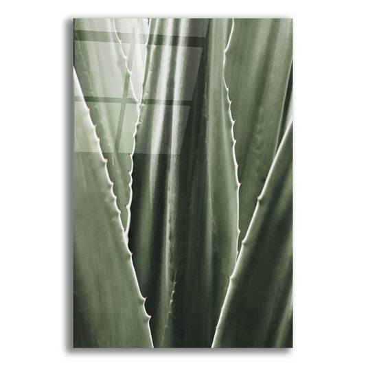 Epic Art 'Leaf I' by Incado, Acrylic Glass Wall Art