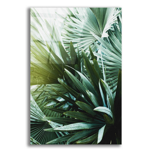 Epic Art 'Leaf II' by Incado, Acrylic Glass Wall Art