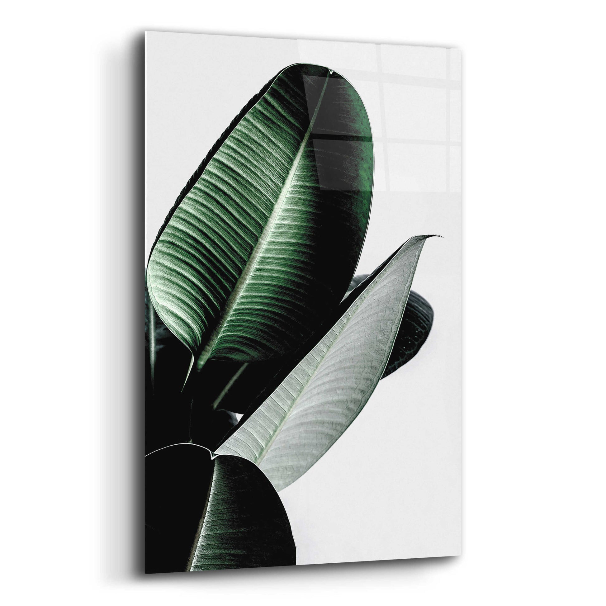 Epic Art 'Leaves' by Incado, Acrylic Glass Wall Art,12x16