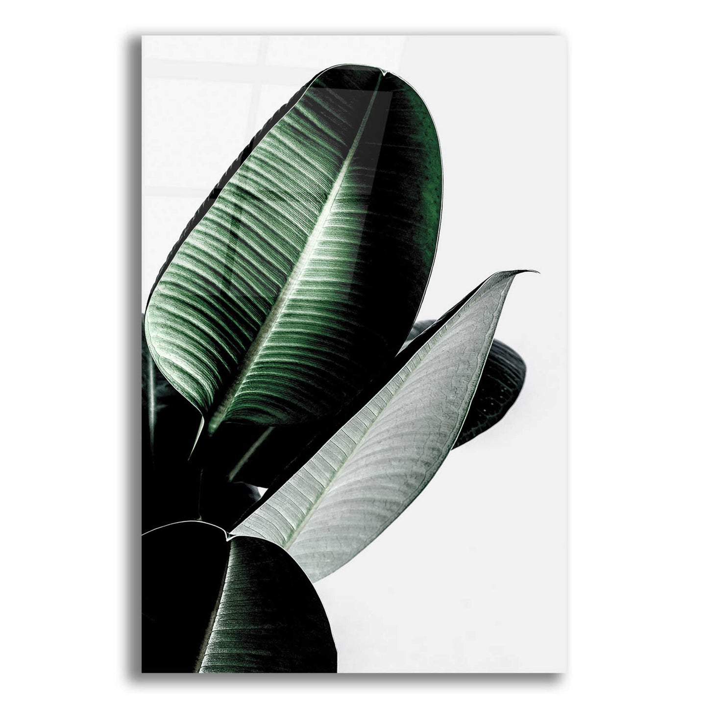 Epic Art 'Leaves' by Incado, Acrylic Glass Wall Art