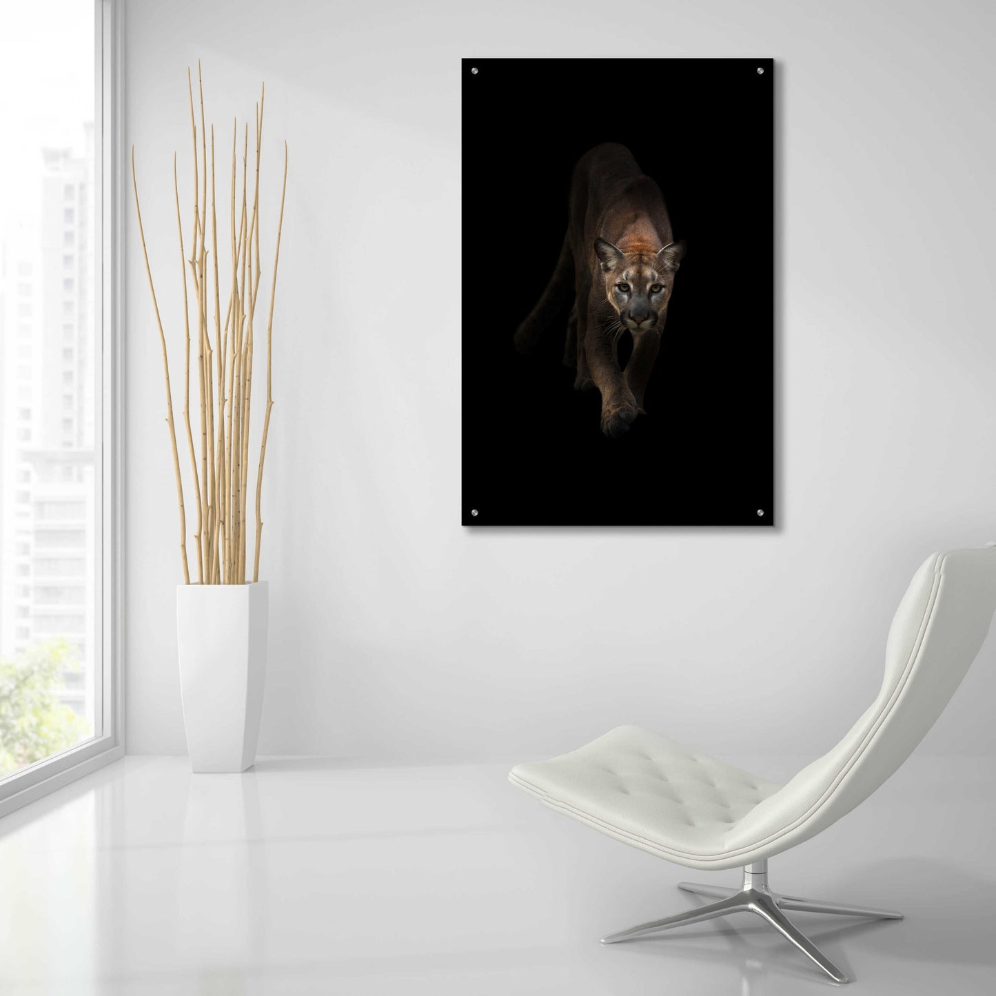 Epic Art 'Lion' by Incado, Acrylic Glass Wall Art,24x36