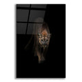 Epic Art 'Lion' by Incado, Acrylic Glass Wall Art