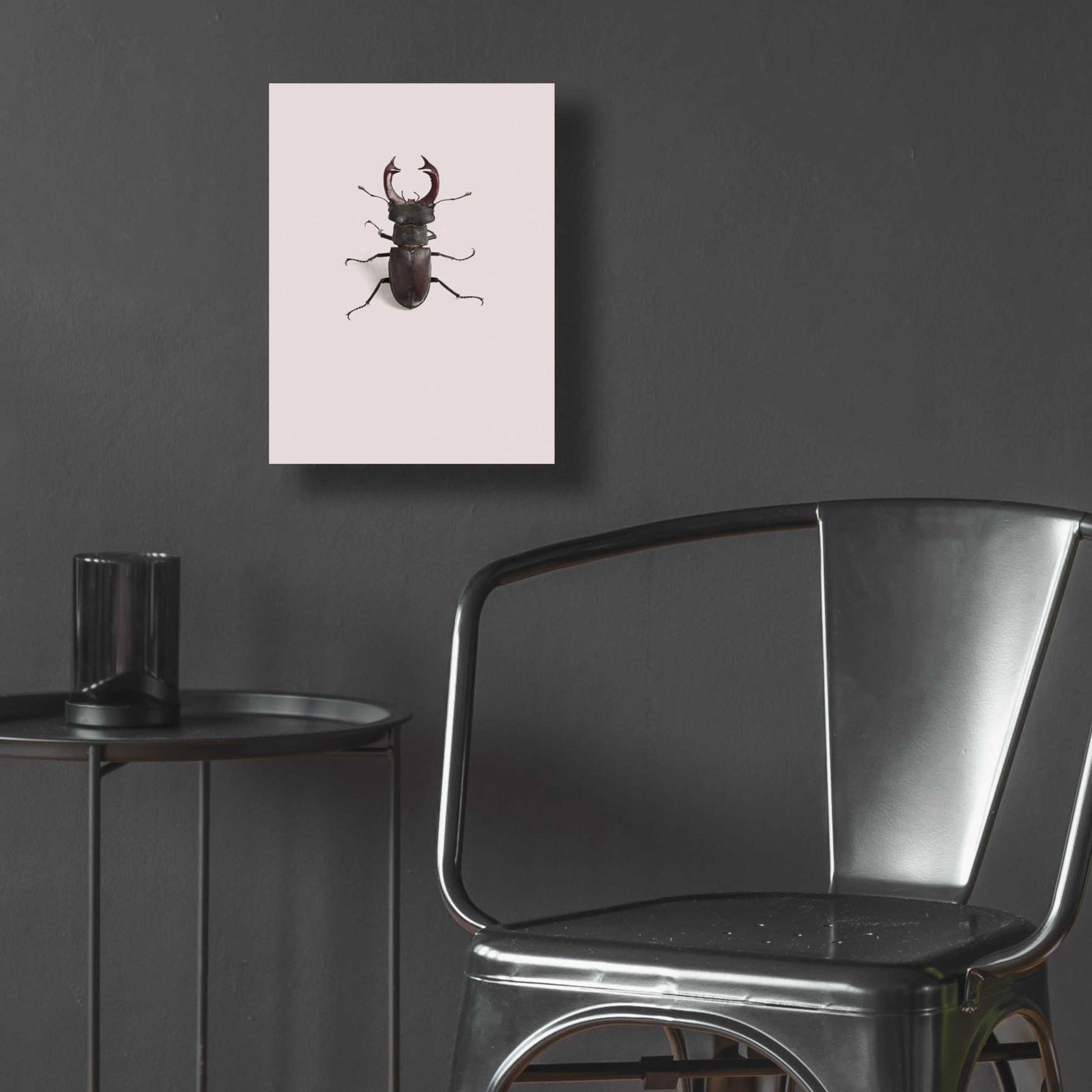 Epic Art 'Lucanus Cervus' by Incado, Acrylic Glass Wall Art,12x16