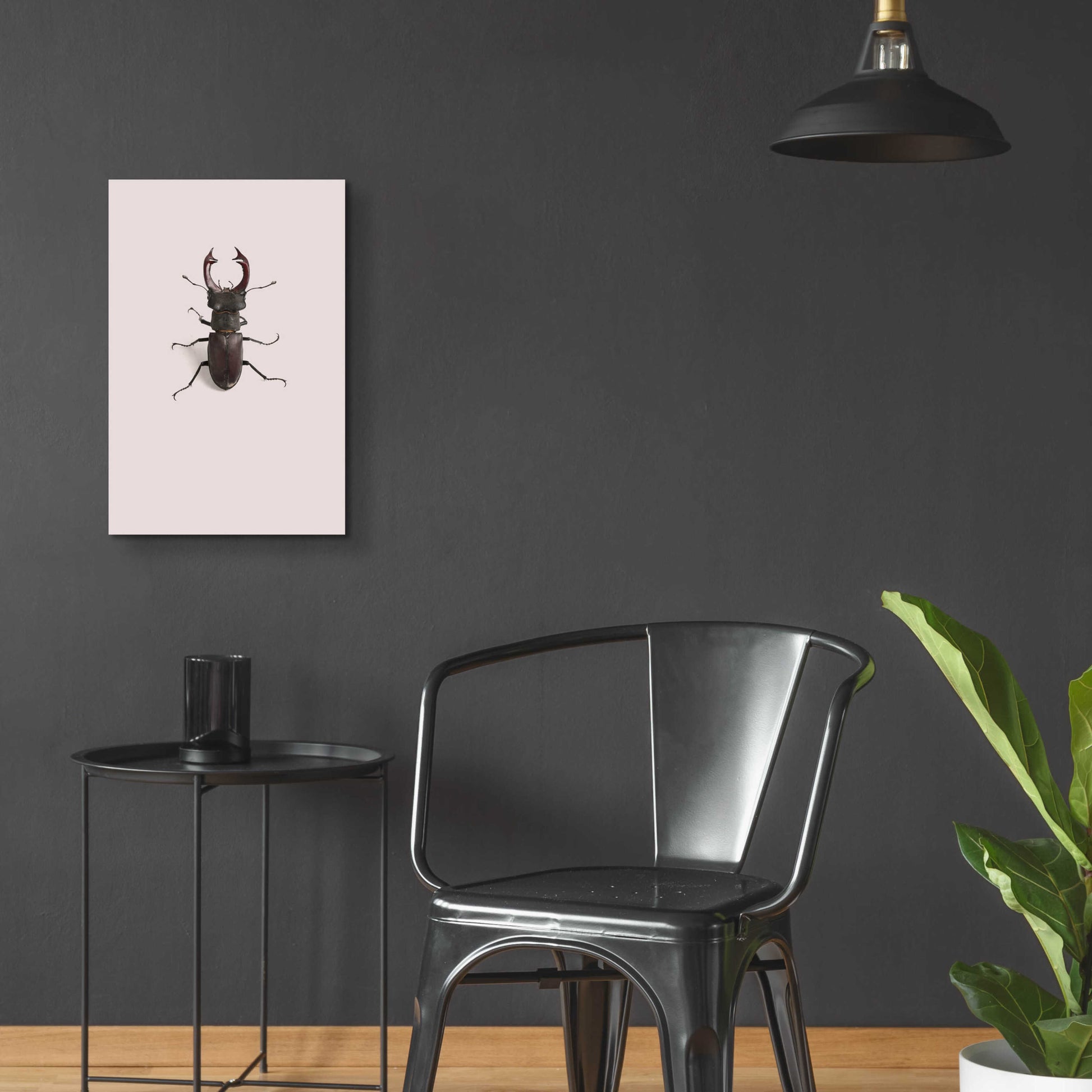 Epic Art 'Lucanus Cervus' by Incado, Acrylic Glass Wall Art,16x24