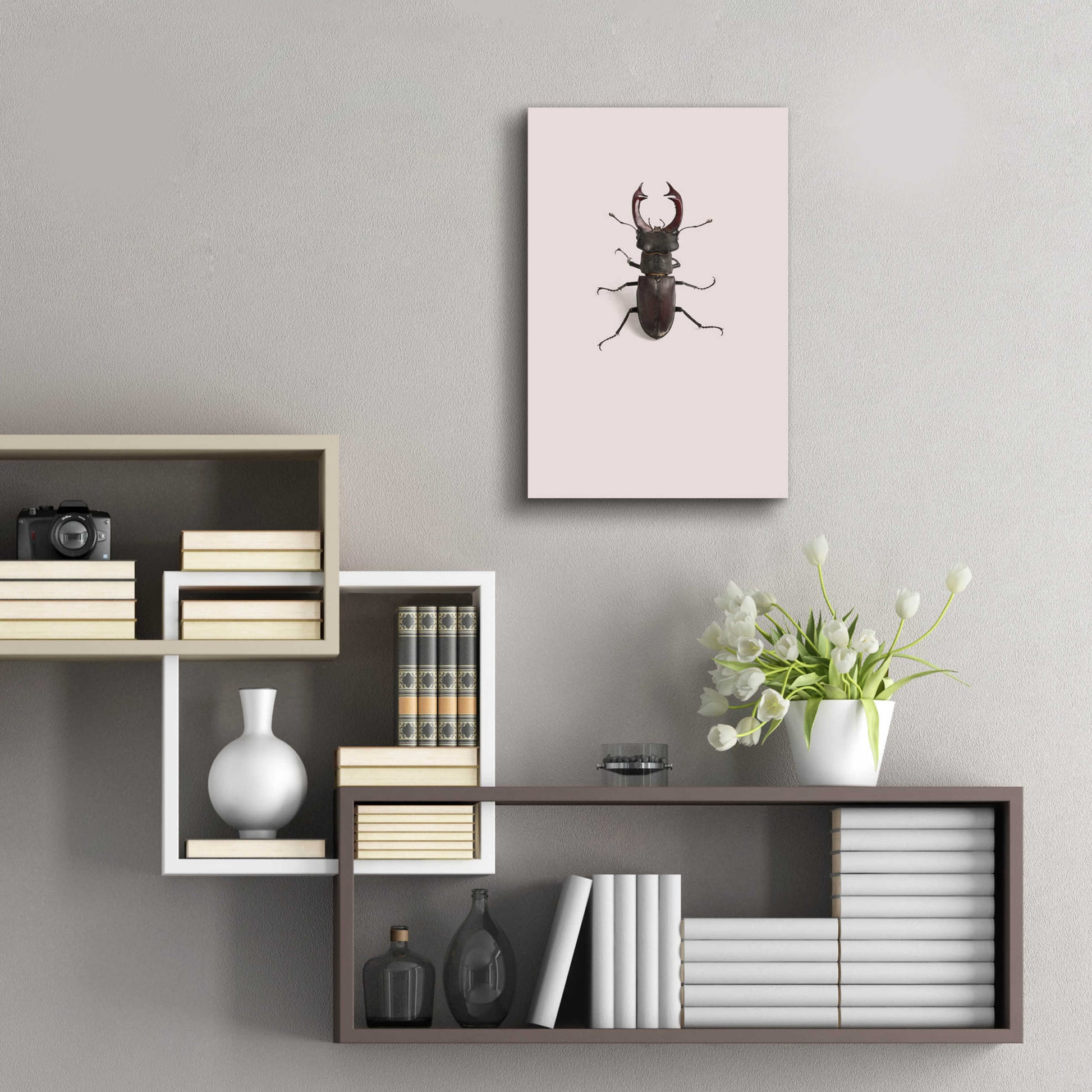 Epic Art 'Lucanus Cervus' by Incado, Acrylic Glass Wall Art,16x24