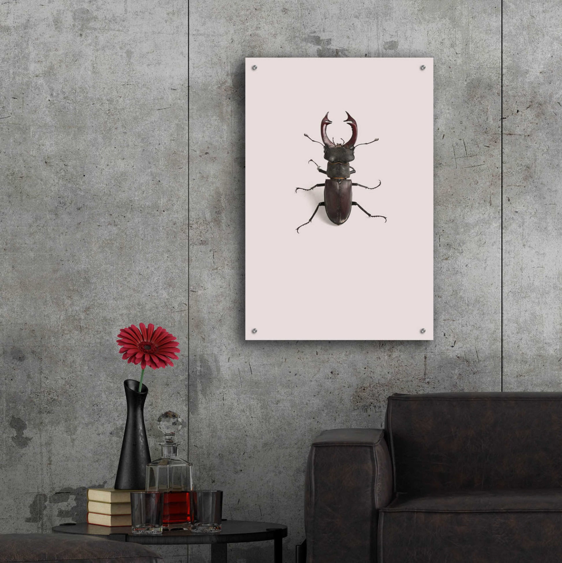 Epic Art 'Lucanus Cervus' by Incado, Acrylic Glass Wall Art,24x36