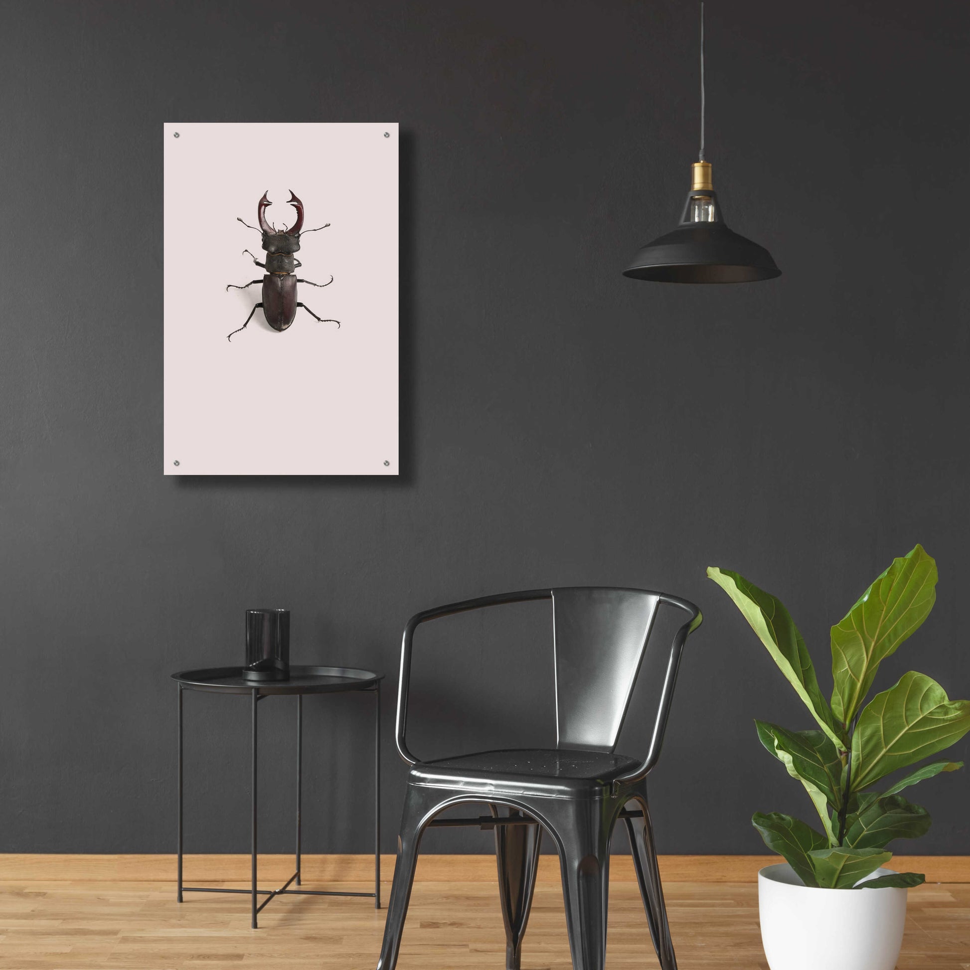 Epic Art 'Lucanus Cervus' by Incado, Acrylic Glass Wall Art,24x36