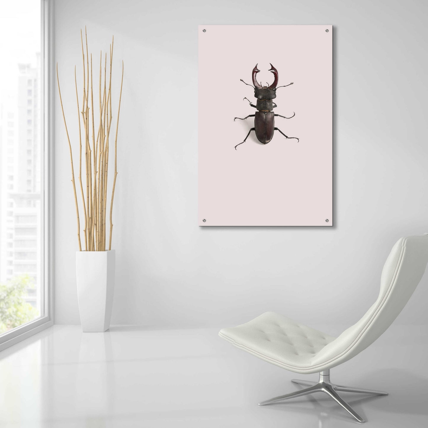 Epic Art 'Lucanus Cervus' by Incado, Acrylic Glass Wall Art,24x36