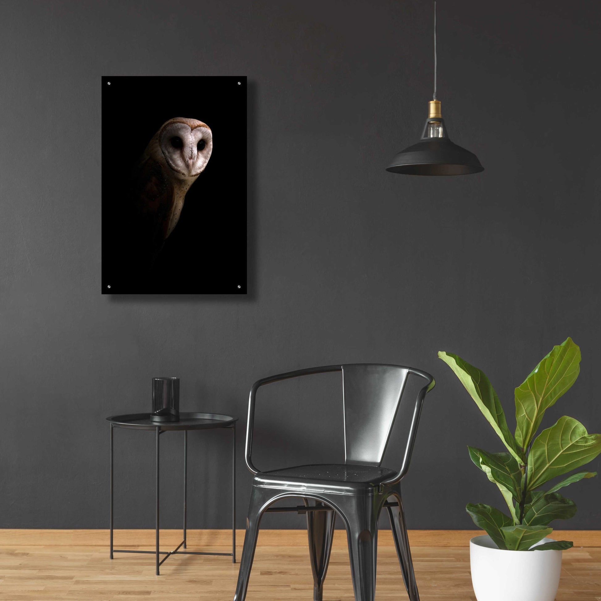 Epic Art 'Owl' by Incado, Acrylic Glass Wall Art,24x36