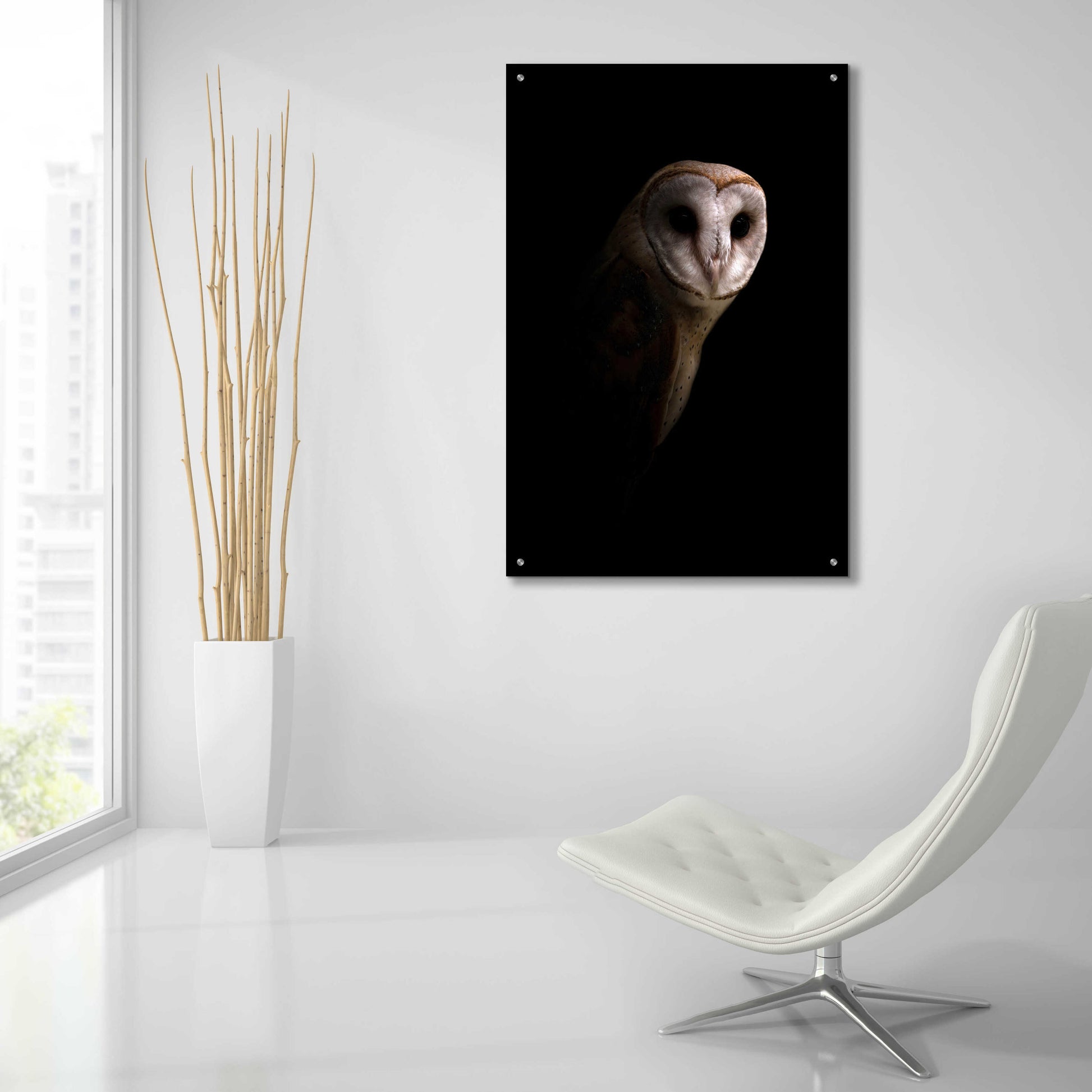 Epic Art 'Owl' by Incado, Acrylic Glass Wall Art,24x36