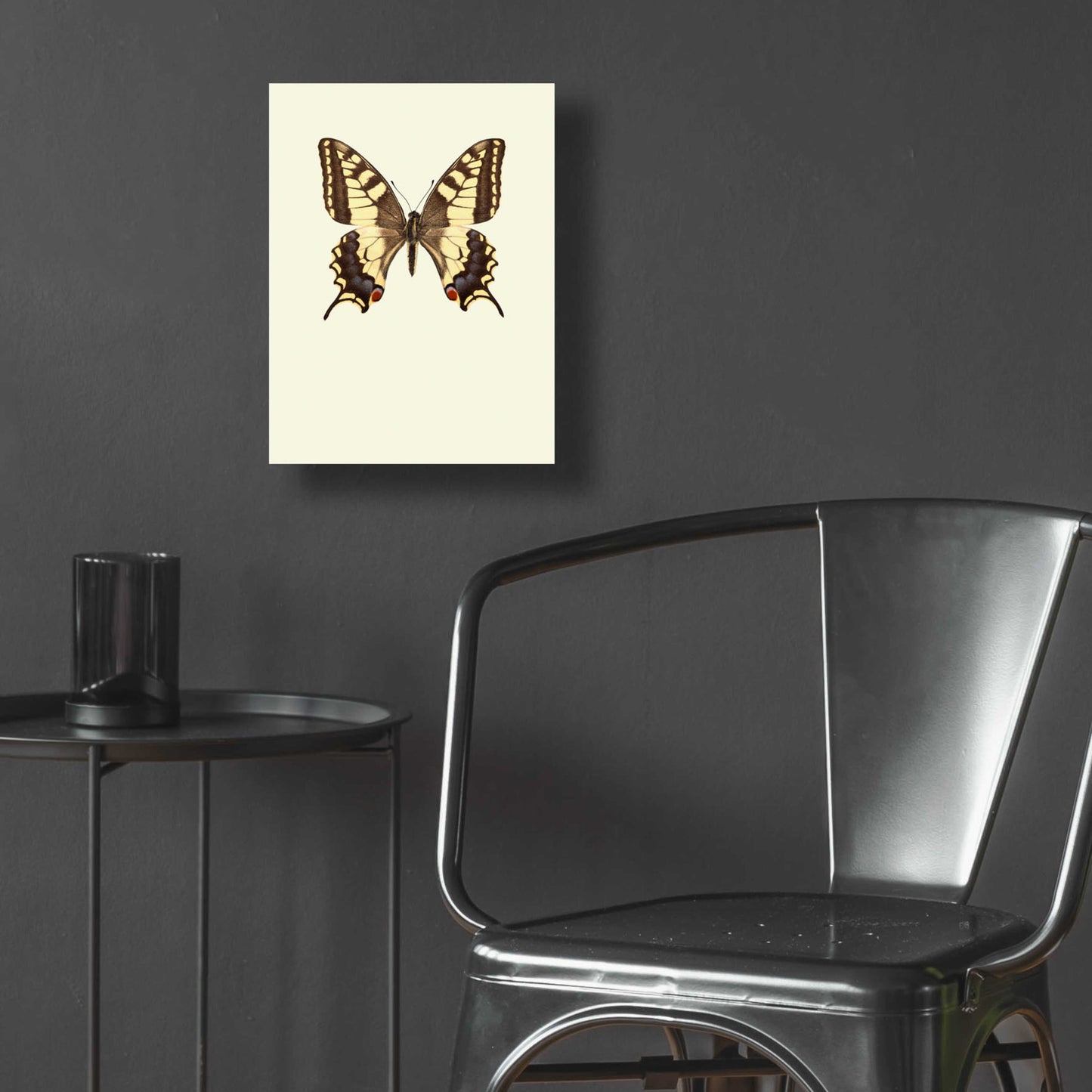 Epic Art 'Papilio Machaon' by Incado, Acrylic Glass Wall Art,12x16