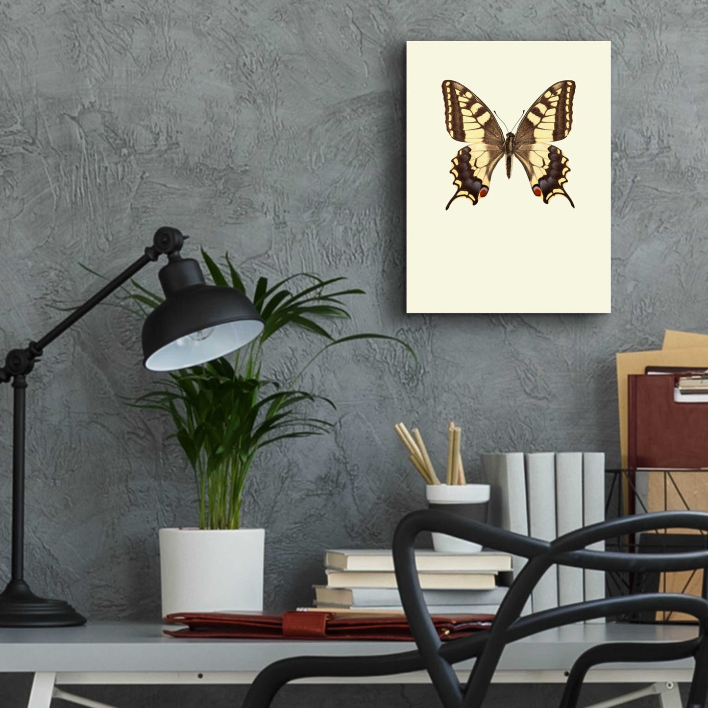 Epic Art 'Papilio Machaon' by Incado, Acrylic Glass Wall Art,12x16