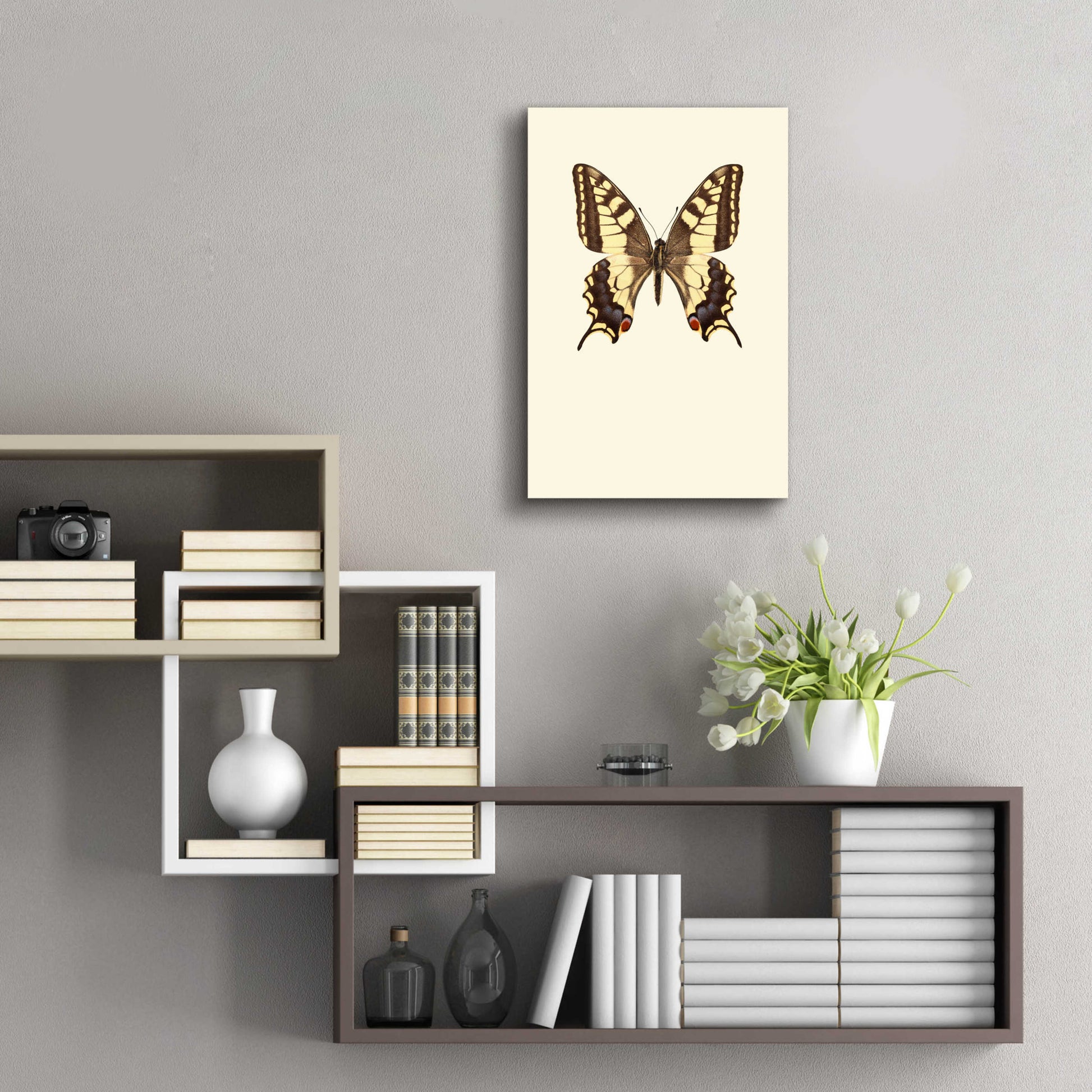 Epic Art 'Papilio Machaon' by Incado, Acrylic Glass Wall Art,16x24