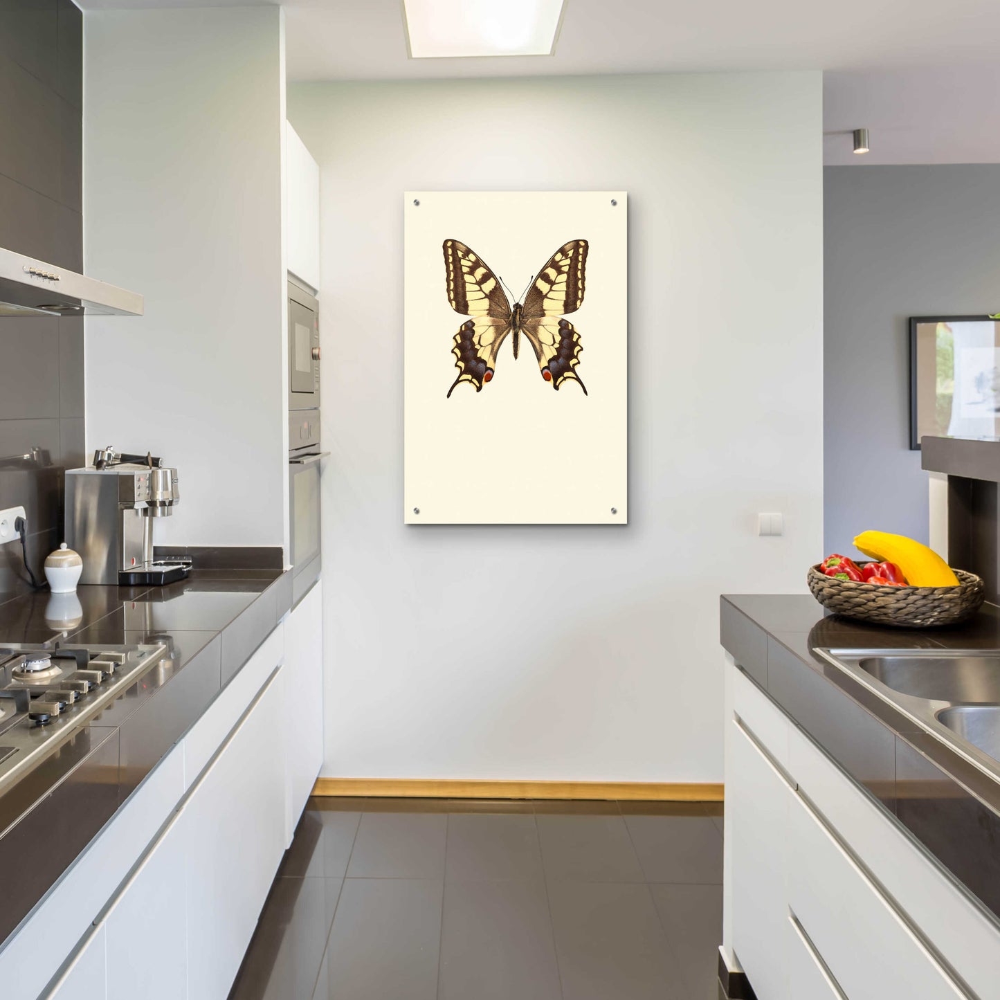 Epic Art 'Papilio Machaon' by Incado, Acrylic Glass Wall Art,24x36