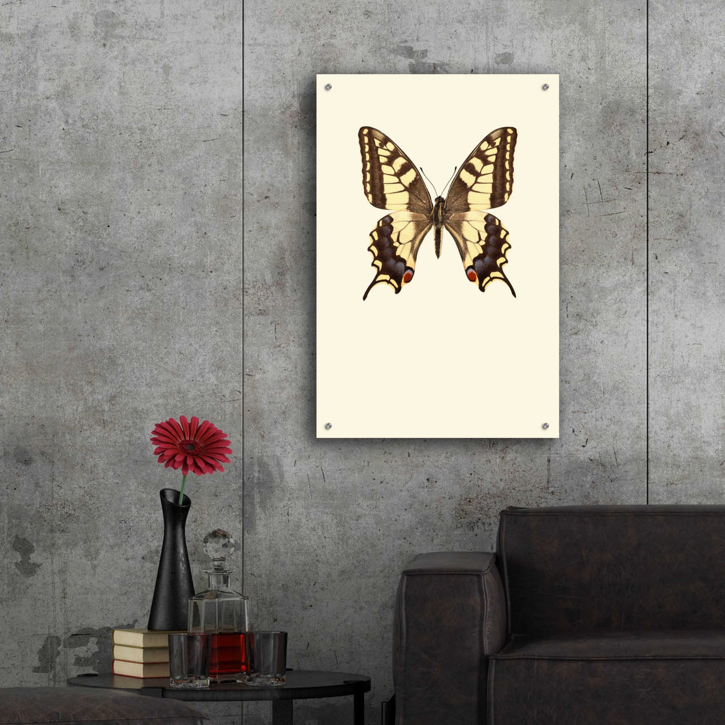 Epic Art 'Papilio Machaon' by Incado, Acrylic Glass Wall Art,24x36