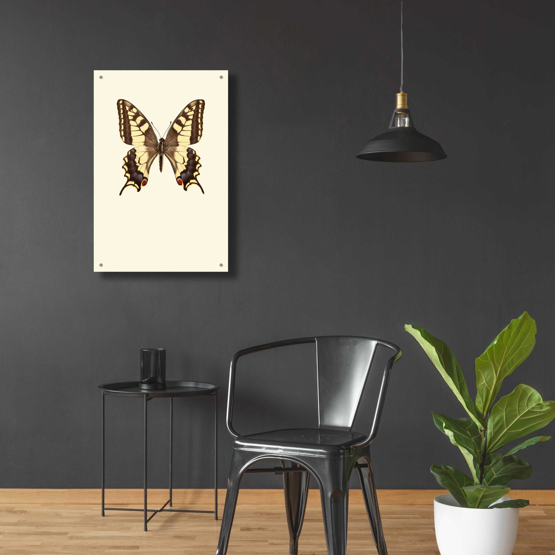 Epic Art 'Papilio Machaon' by Incado, Acrylic Glass Wall Art,24x36