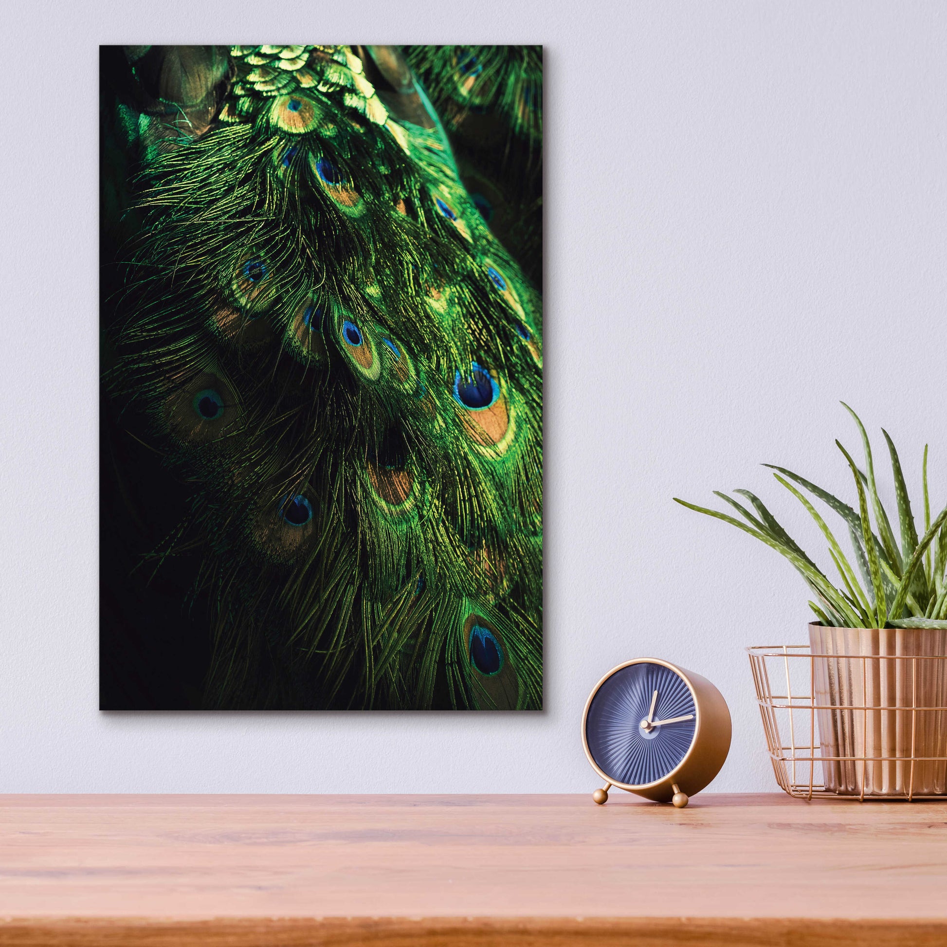 Epic Art 'Peacock Tail' by Incado, Acrylic Glass Wall Art,12x16