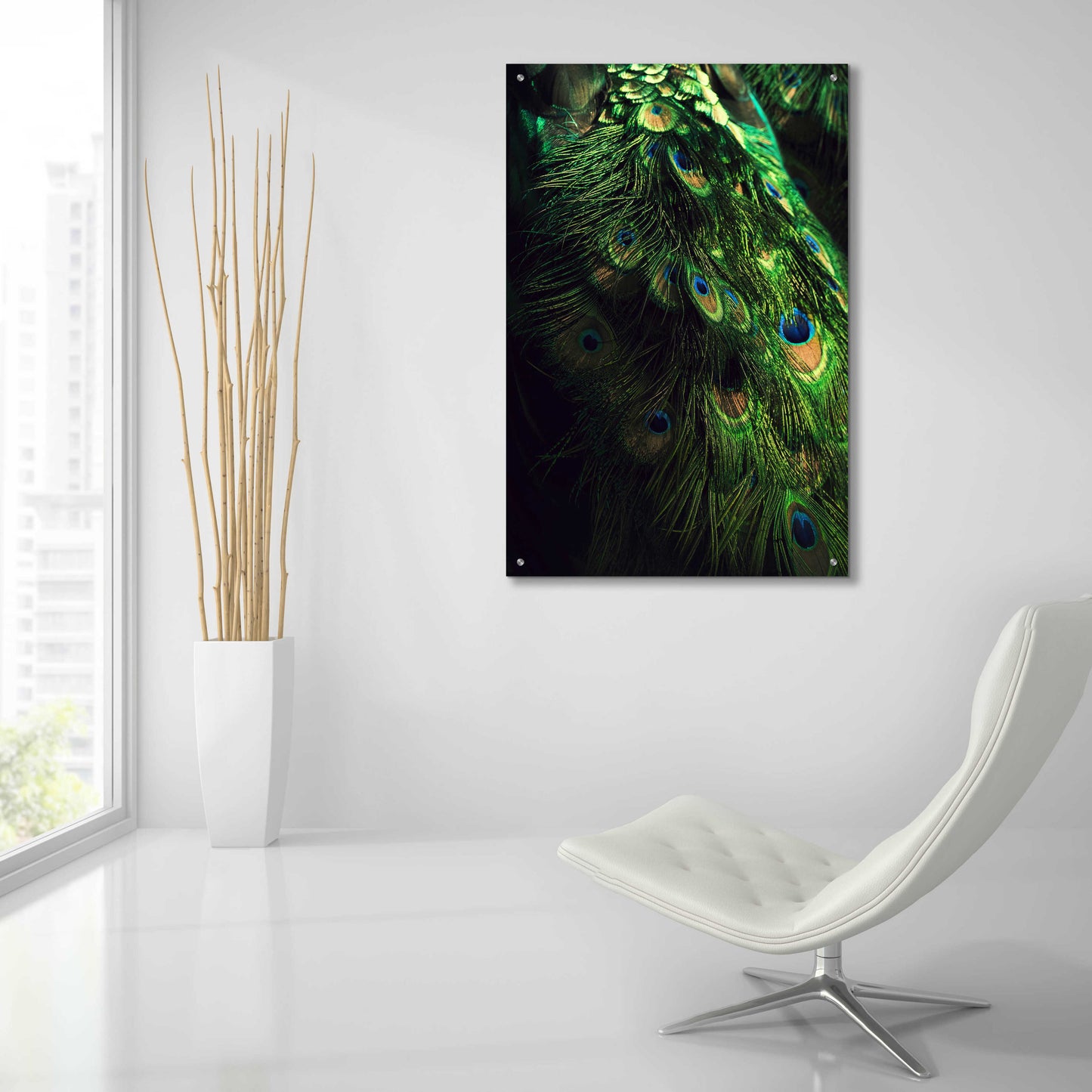 Epic Art 'Peacock Tail' by Incado, Acrylic Glass Wall Art,24x36