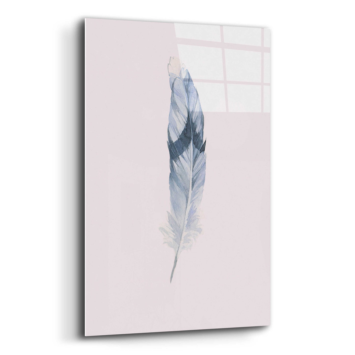 Epic Art 'Pink Feather' by Incado, Acrylic Glass Wall Art,12x16