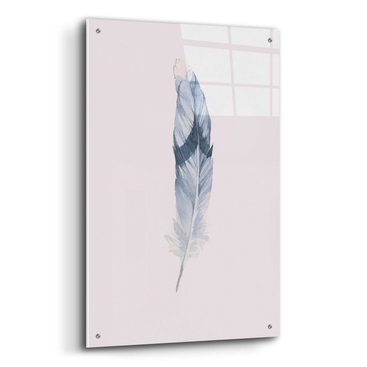 Epic Art 'Pink Feather' by Incado, Acrylic Glass Wall Art,24x36