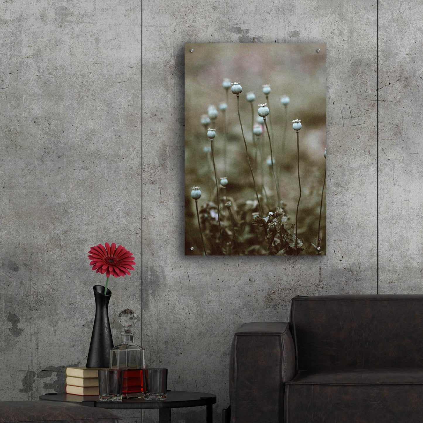 Epic Art 'Poppy Pods' by Incado, Acrylic Glass Wall Art,24x36