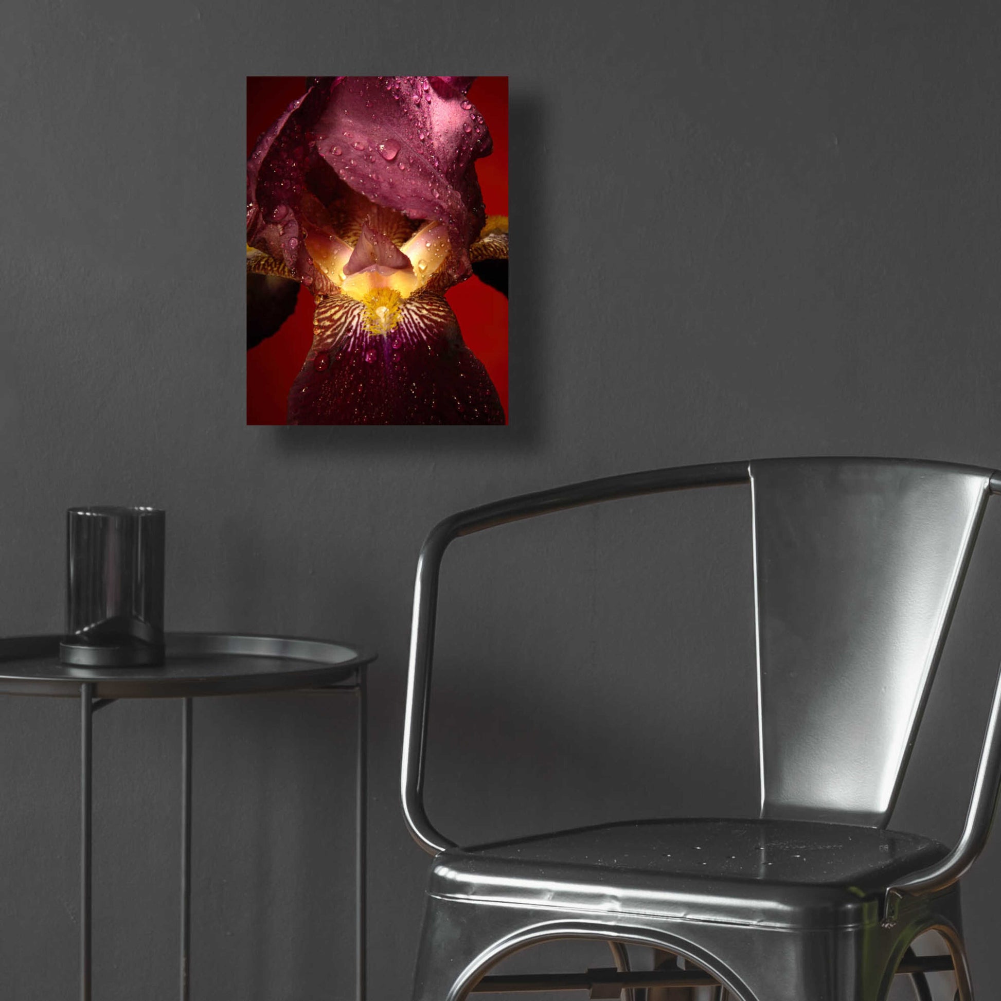 Epic Art 'Red Flower' by Incado, Acrylic Glass Wall Art,12x16