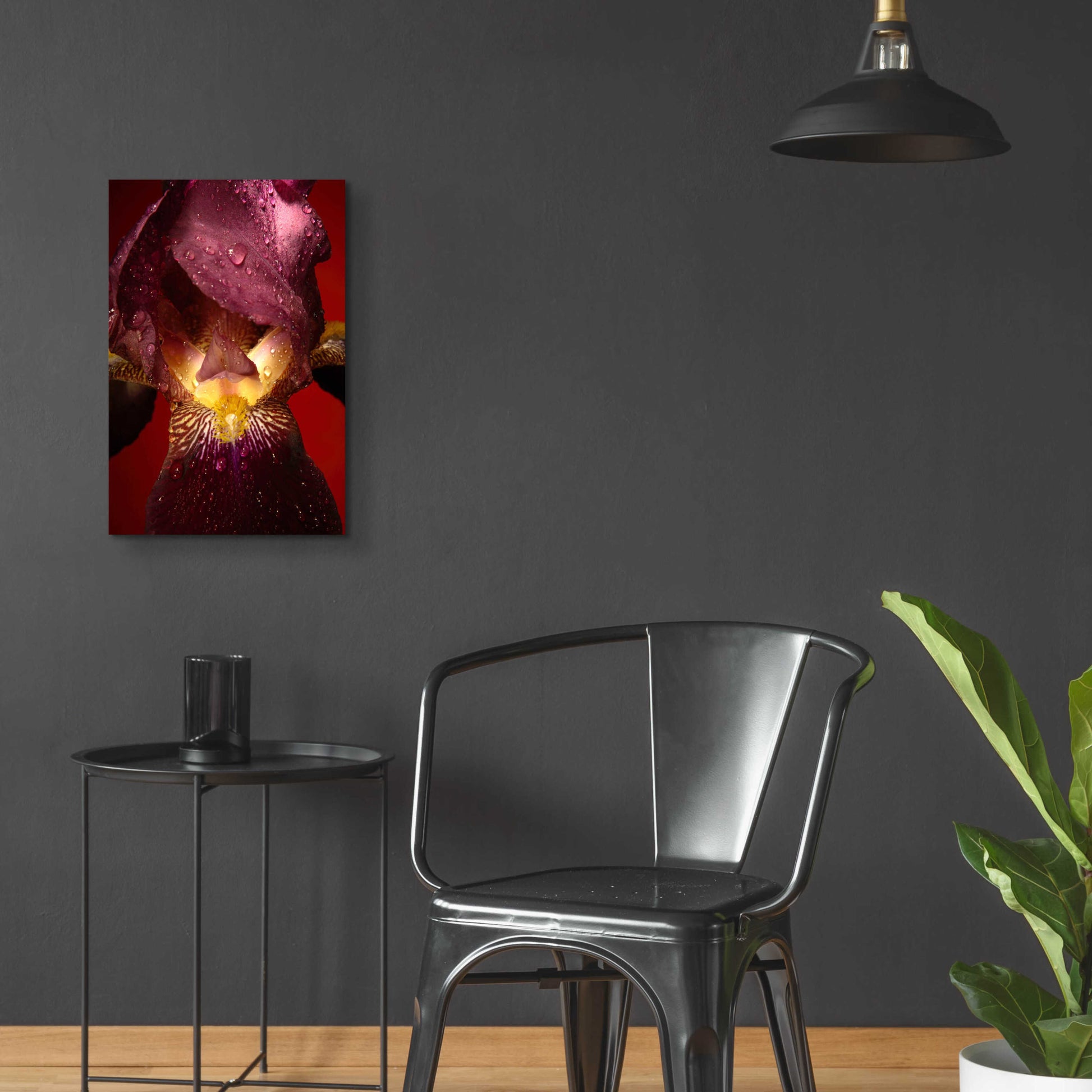 Epic Art 'Red Flower' by Incado, Acrylic Glass Wall Art,16x24