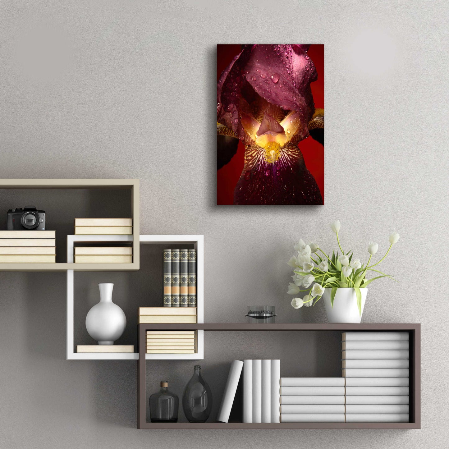 Epic Art 'Red Flower' by Incado, Acrylic Glass Wall Art,16x24