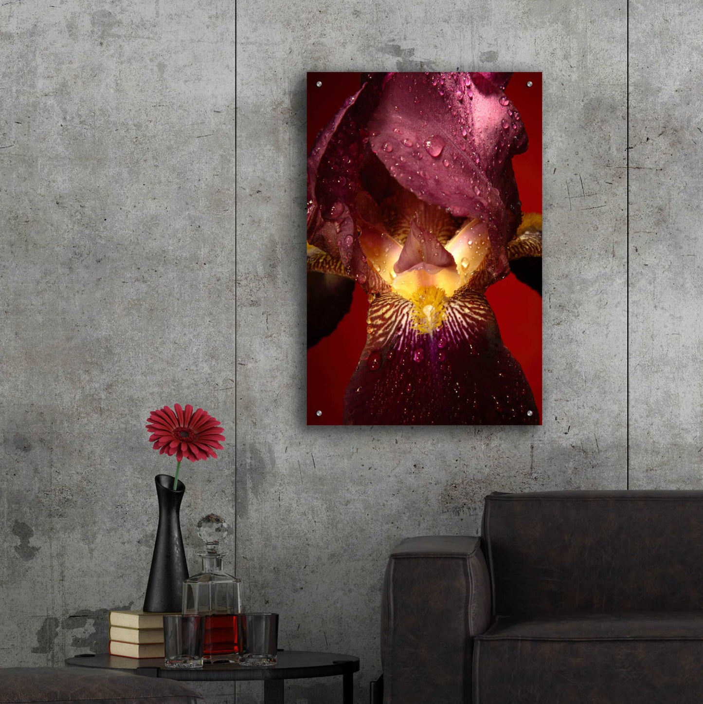 Epic Art 'Red Flower' by Incado, Acrylic Glass Wall Art,24x36