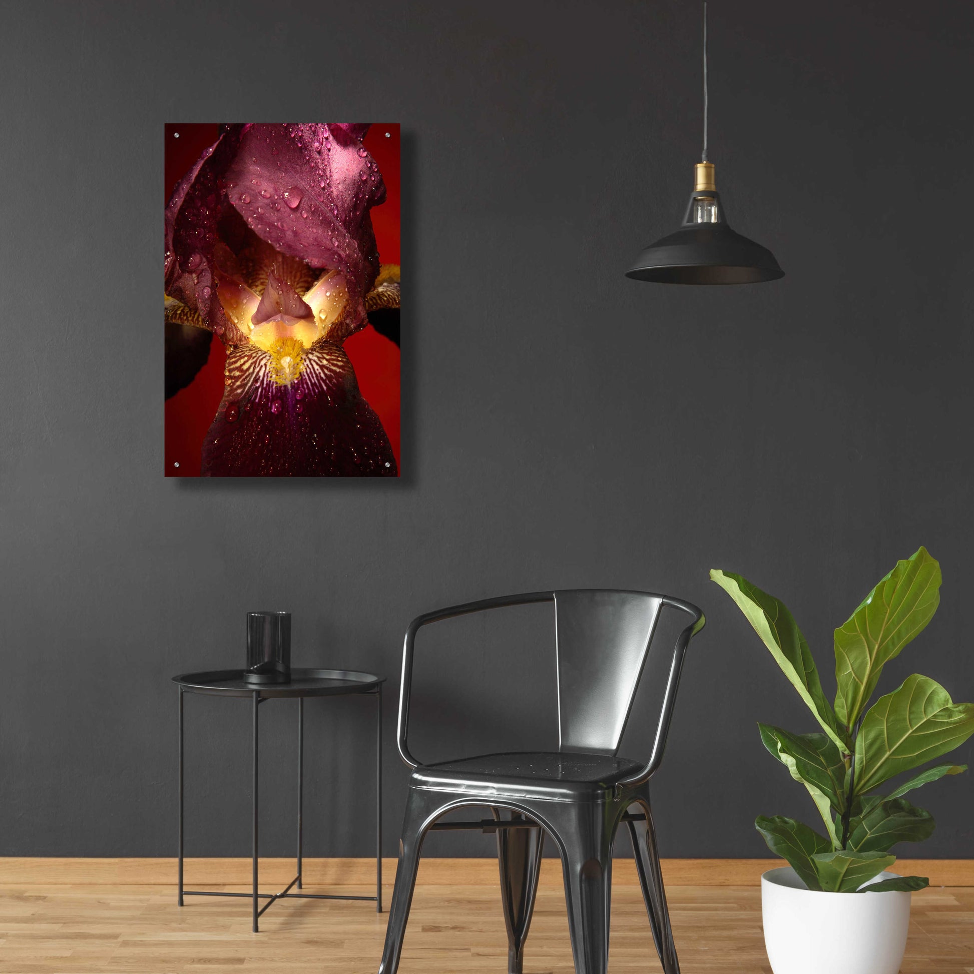 Epic Art 'Red Flower' by Incado, Acrylic Glass Wall Art,24x36