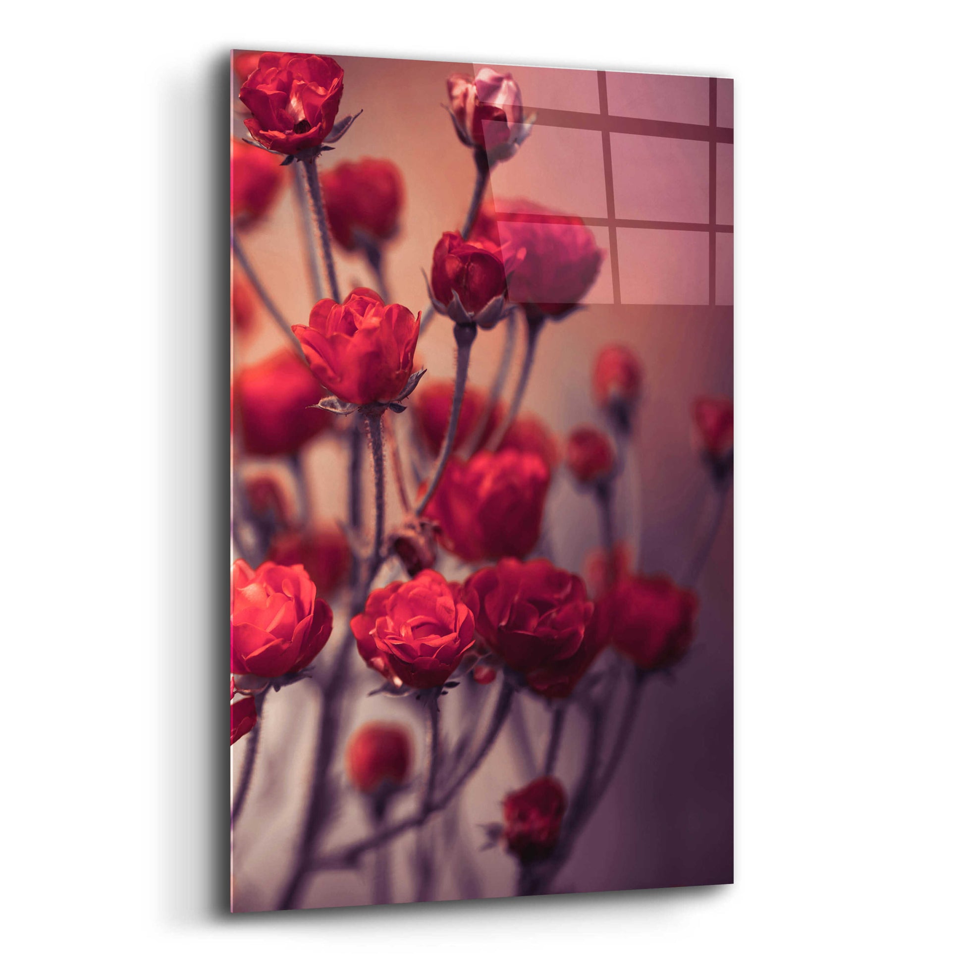 Epic Art 'Red Flowers' by Incado, Acrylic Glass Wall Art,12x16