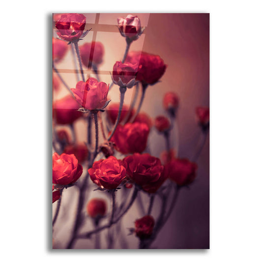 Epic Art 'Red Flowers' by Incado, Acrylic Glass Wall Art