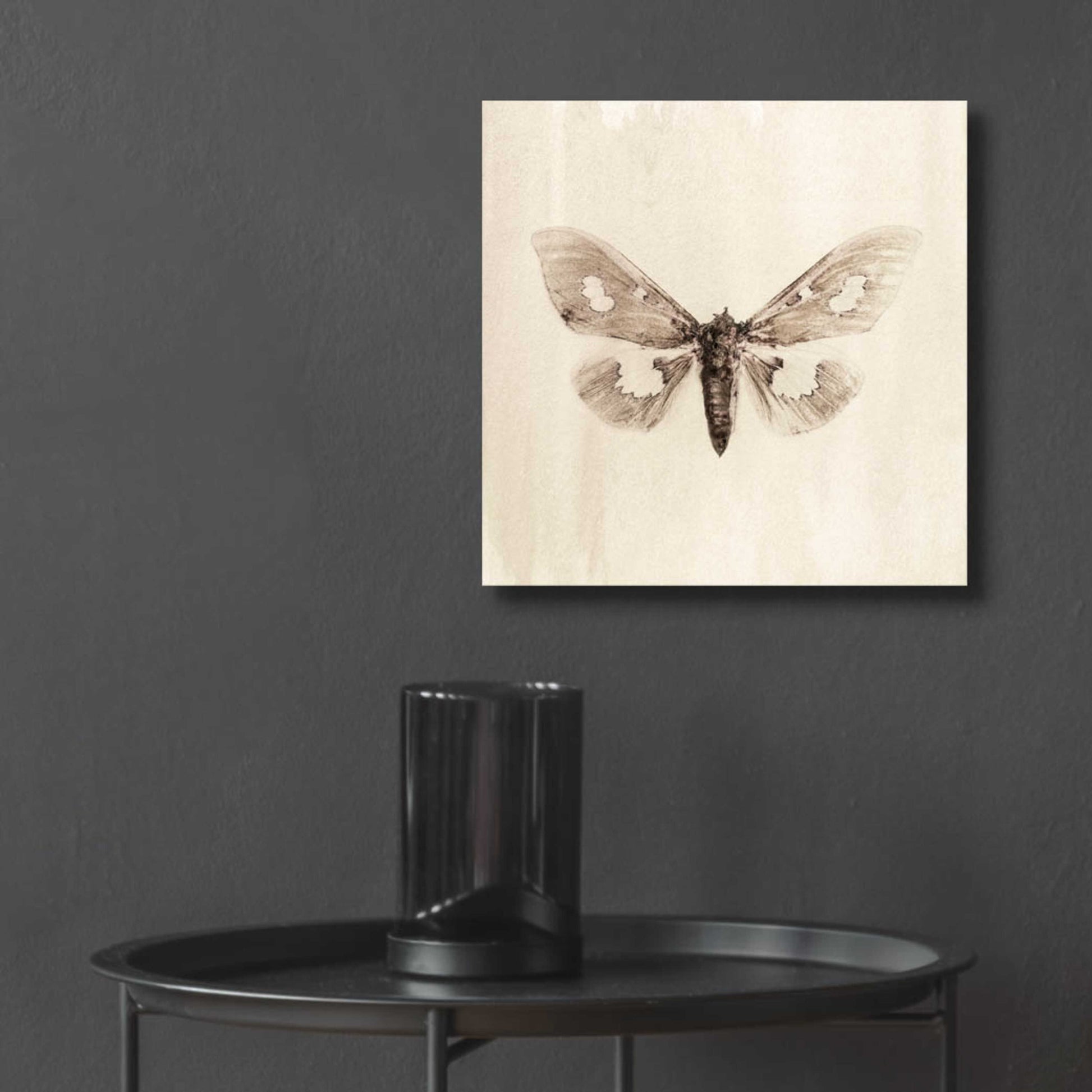 Epic Art 'Sepia Moth' by Incado, Acrylic Glass Wall Art,12x12