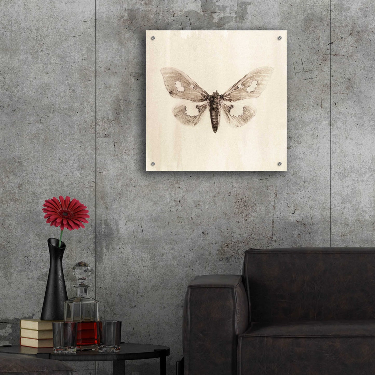 Epic Art 'Sepia Moth' by Incado, Acrylic Glass Wall Art,24x24