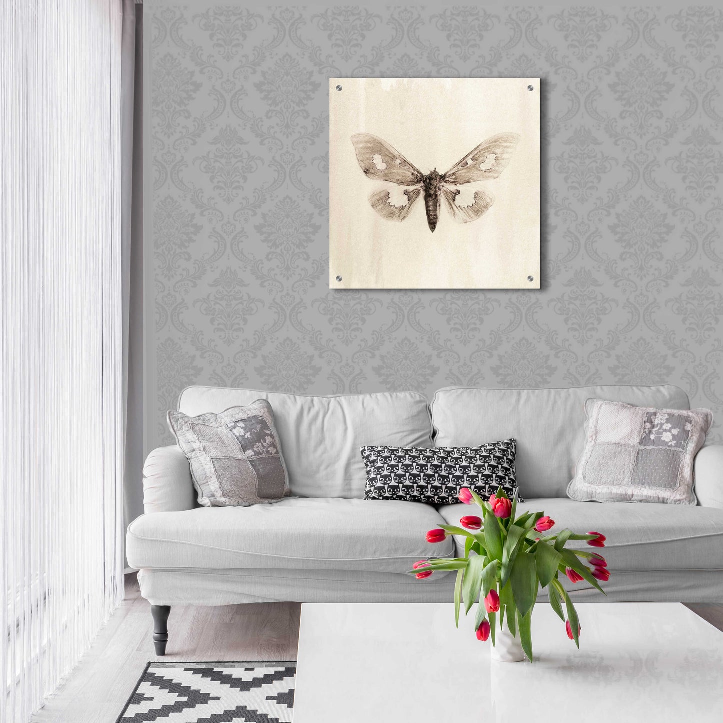 Epic Art 'Sepia Moth' by Incado, Acrylic Glass Wall Art,24x24