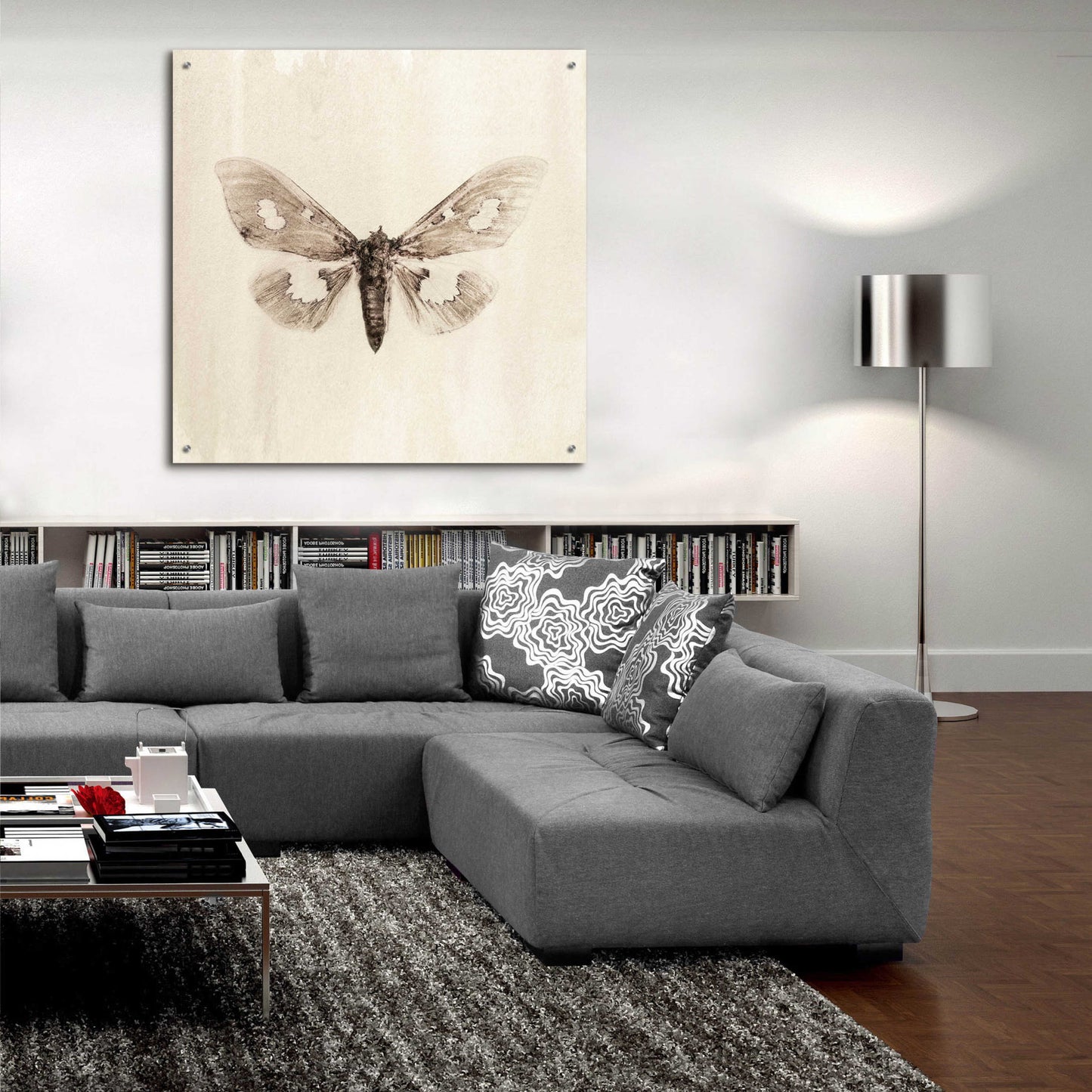 Epic Art 'Sepia Moth' by Incado, Acrylic Glass Wall Art,36x36