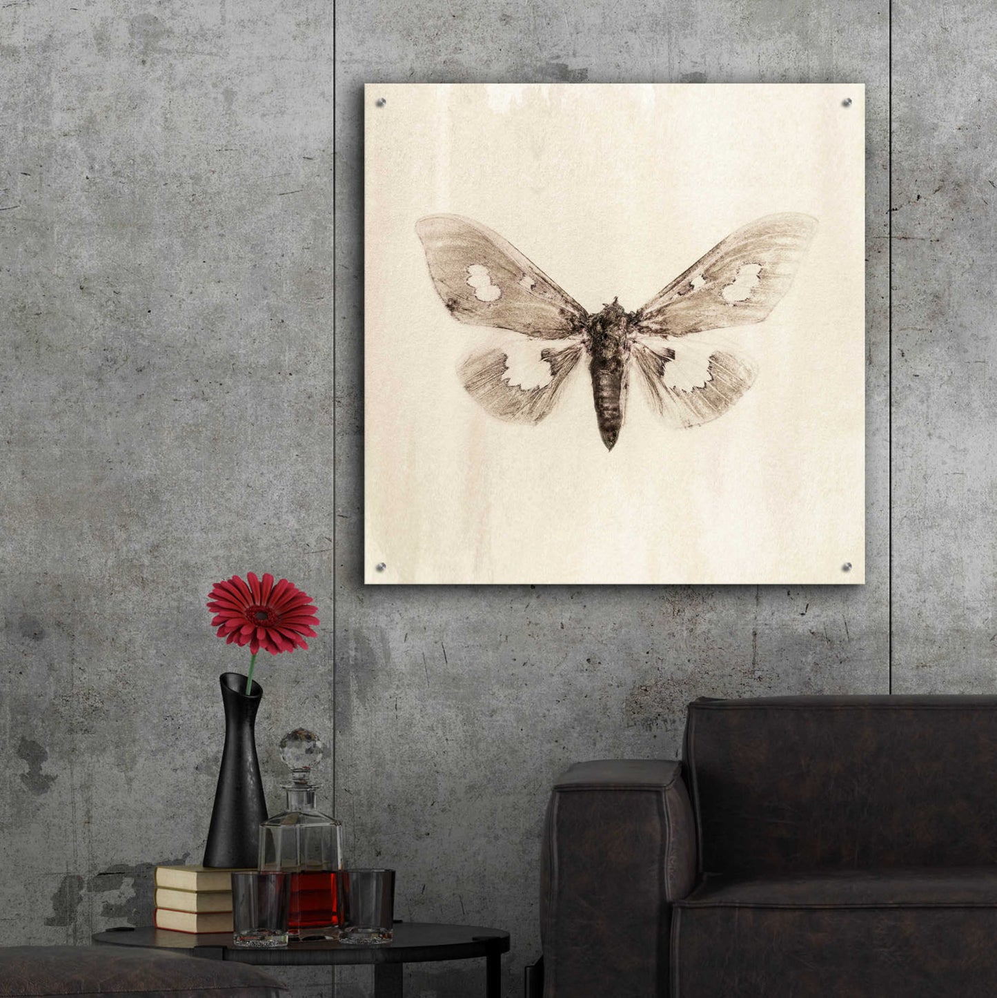 Epic Art 'Sepia Moth' by Incado, Acrylic Glass Wall Art,36x36