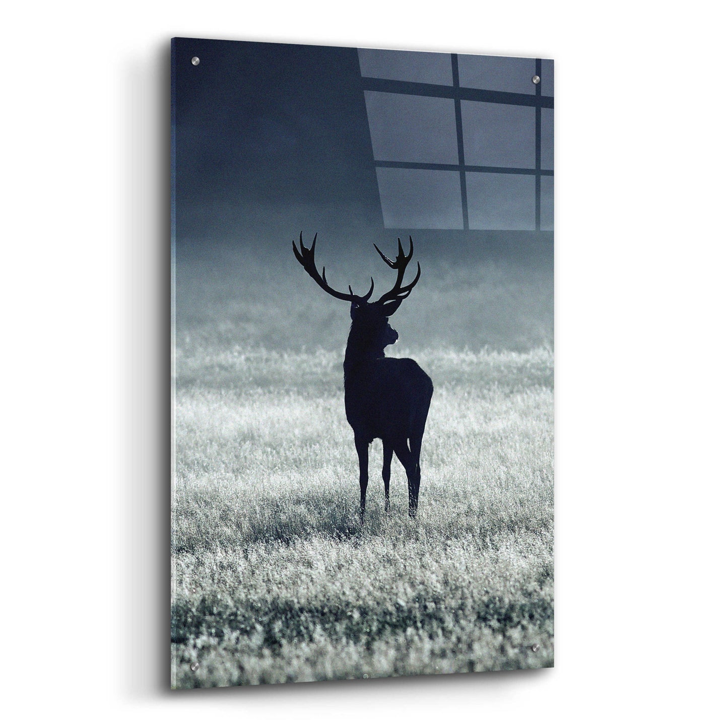 Epic Art 'Silhouette Deer' by Incado, Acrylic Glass Wall Art,24x36