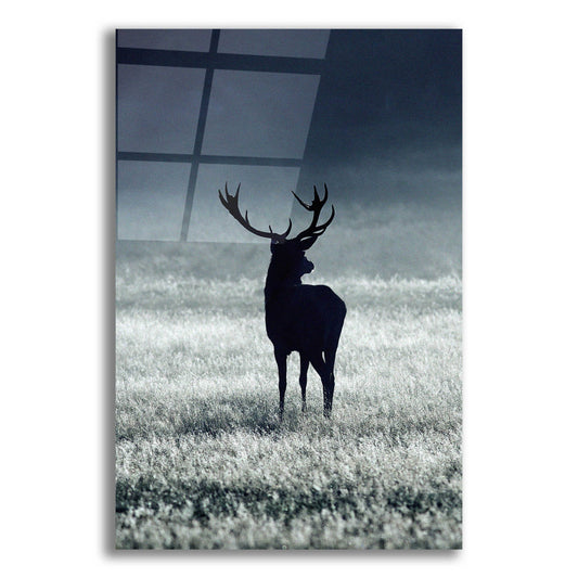 Epic Art 'Silhouette Deer' by Incado, Acrylic Glass Wall Art