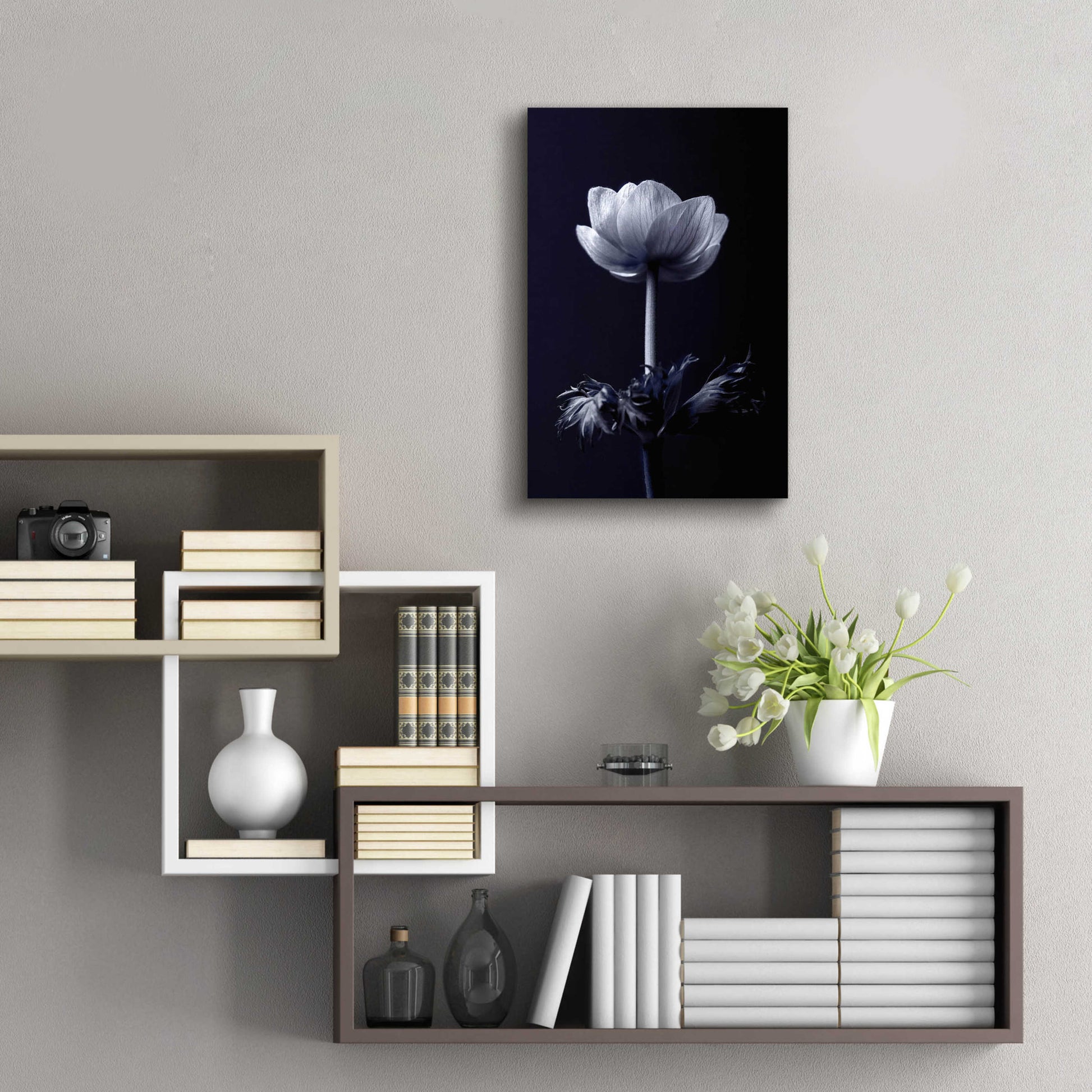 Epic Art 'Single Flower' by Incado, Acrylic Glass Wall Art,16x24