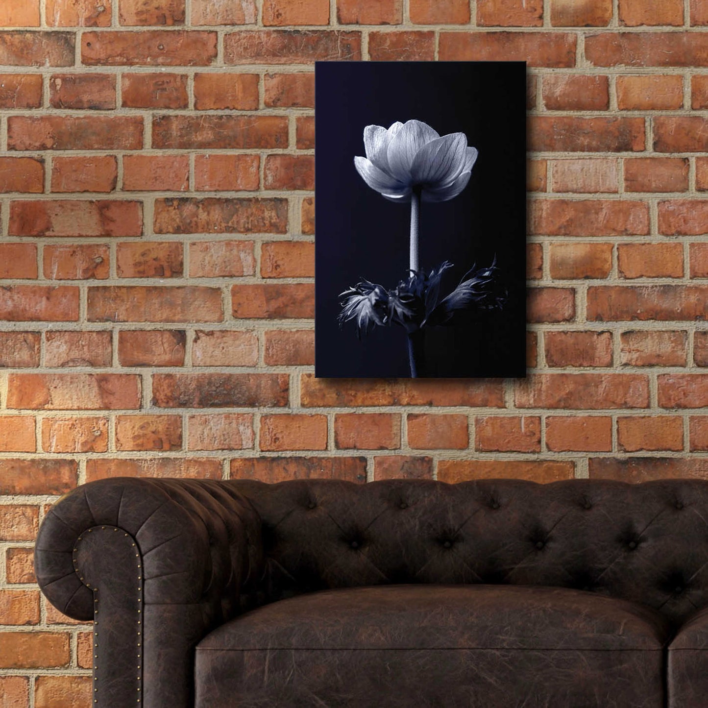 Epic Art 'Single Flower' by Incado, Acrylic Glass Wall Art,16x24